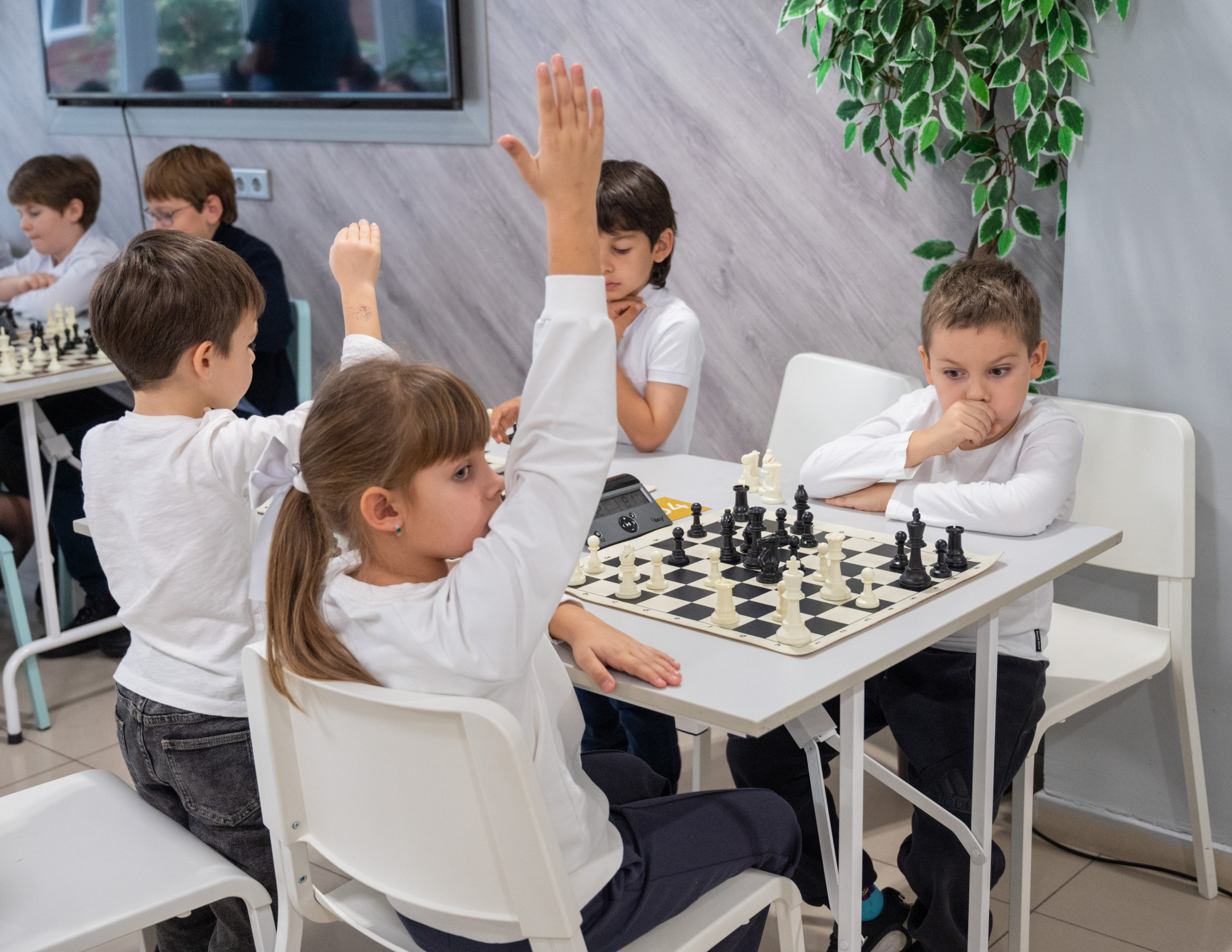 Турнир по быстрым шахматам «ОСЕННИЙ КУБОК"♟. Фотографирую счастливых людей в Сочи