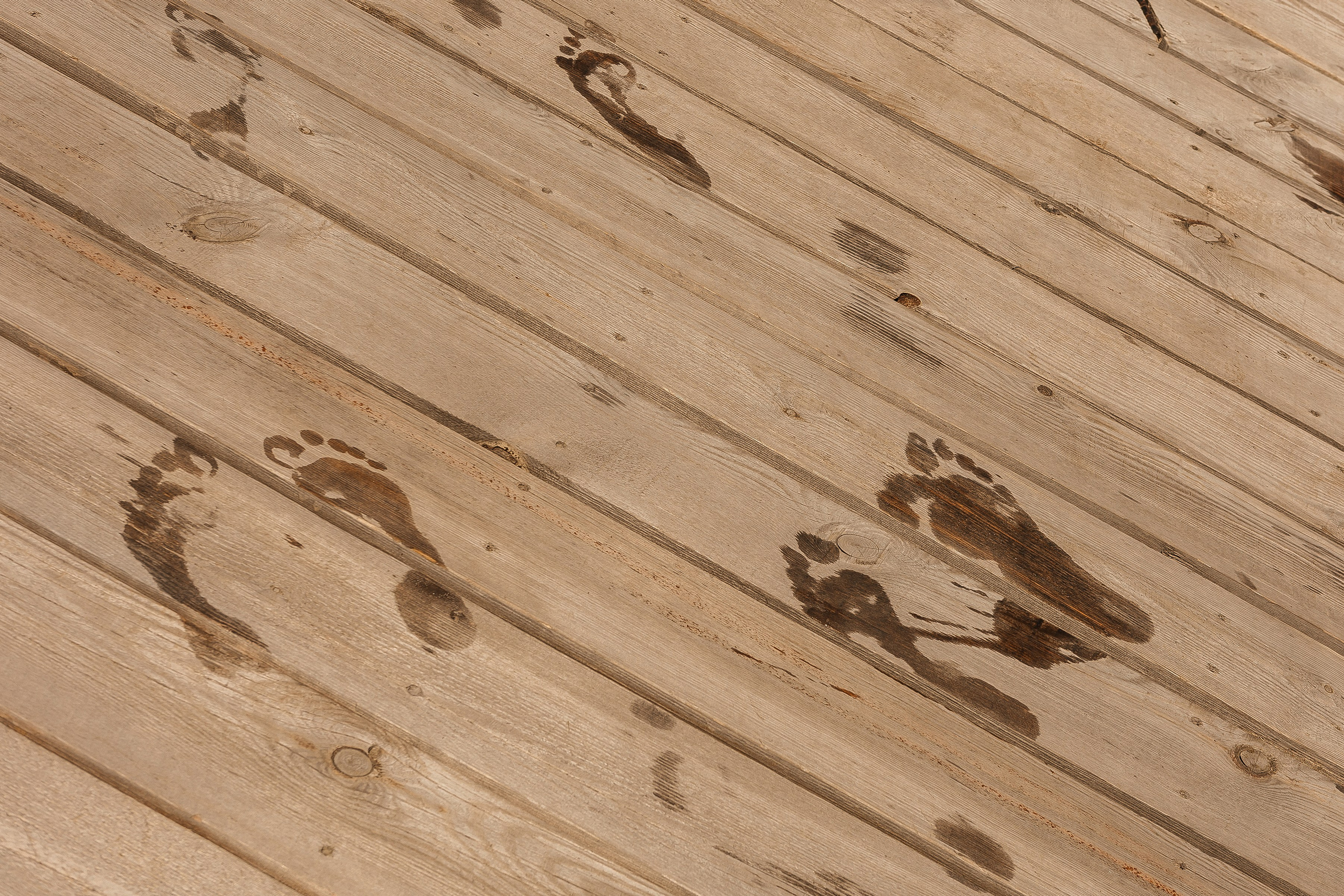 Яна+Владимир. Свадебный и портретный фотограф в Екатеринбурге Виолетта Куприкова