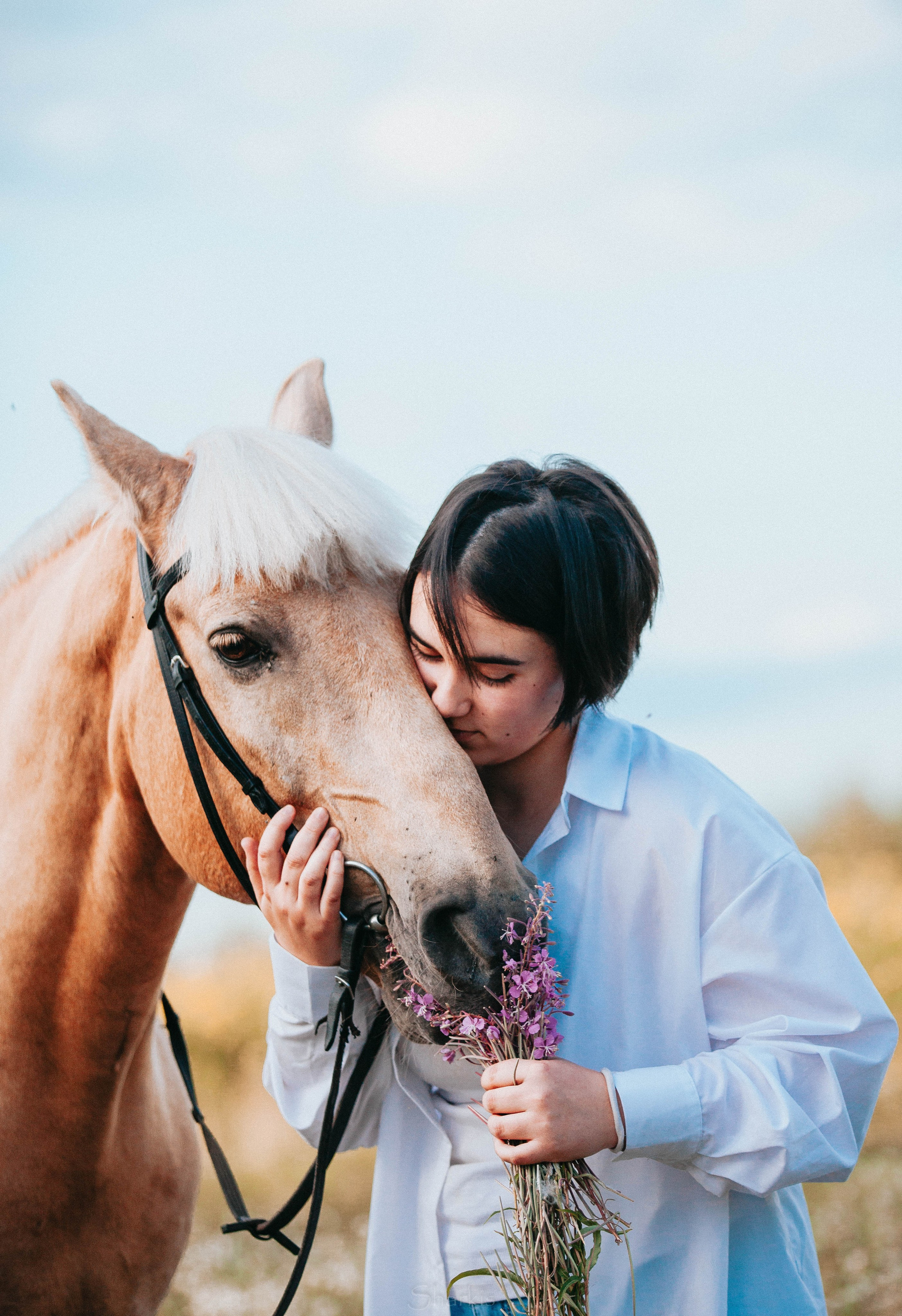 Алина и Гешефт. Главная