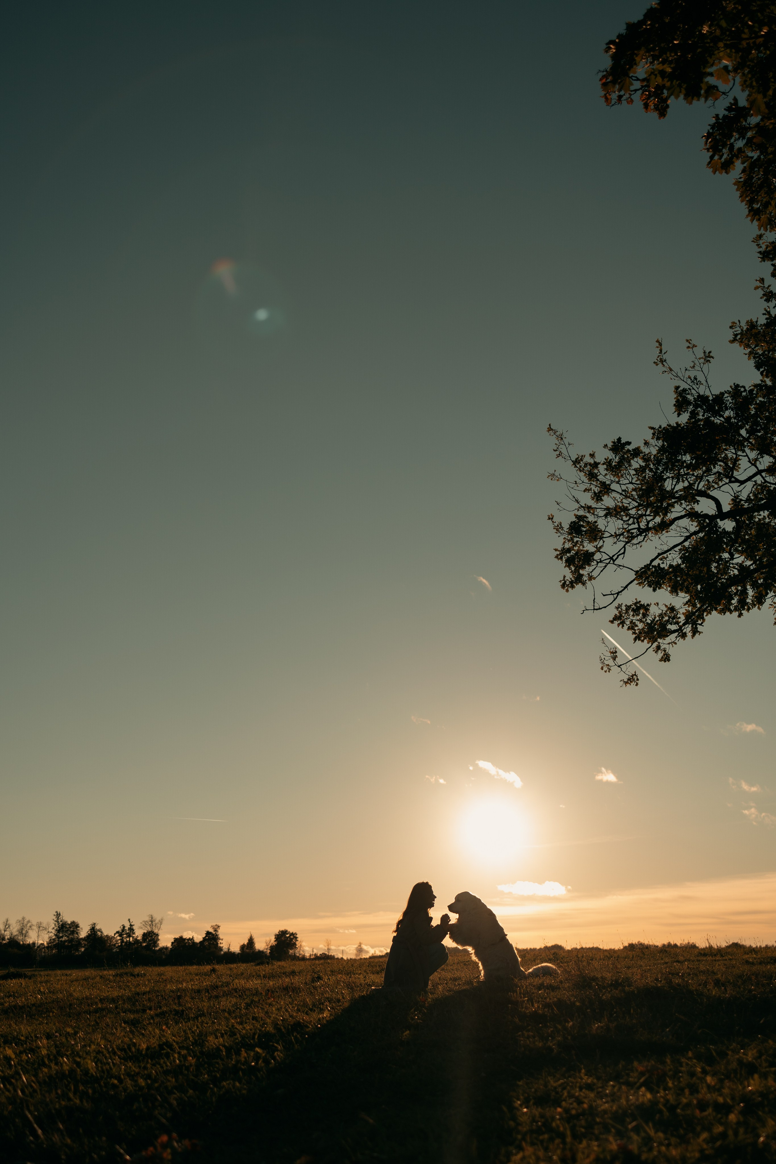 Лера и Скай. Фотограф — Анималист | Санкт-Петербург