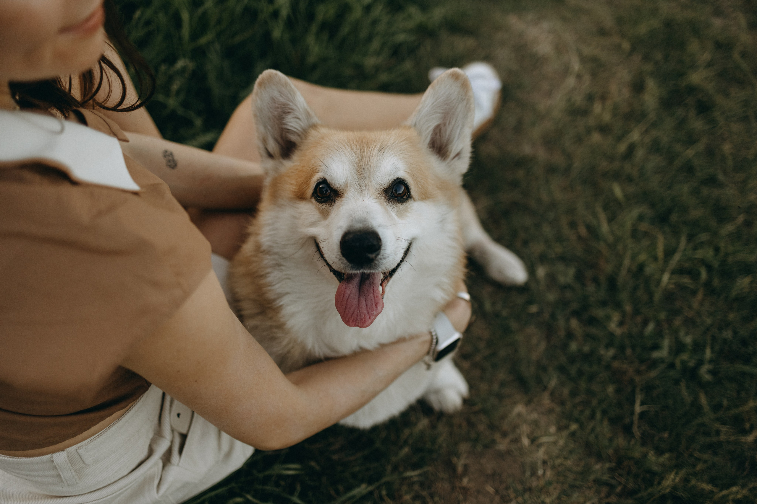 Кристина и Шелби. Фотограф — Анималист | Санкт-Петербург