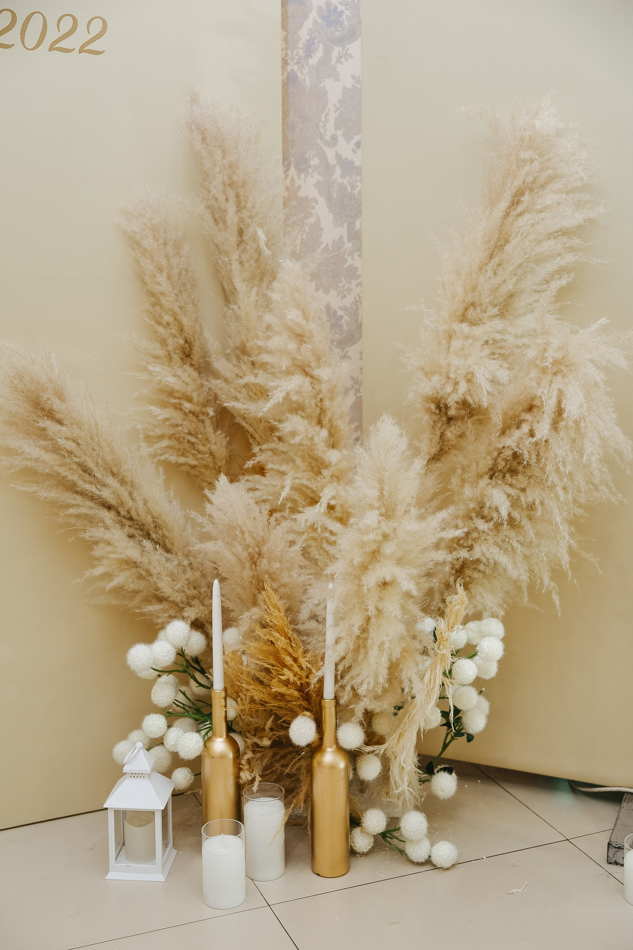 Шах и Ирада. Фотограф в Красноярске Надежда Воскресенская