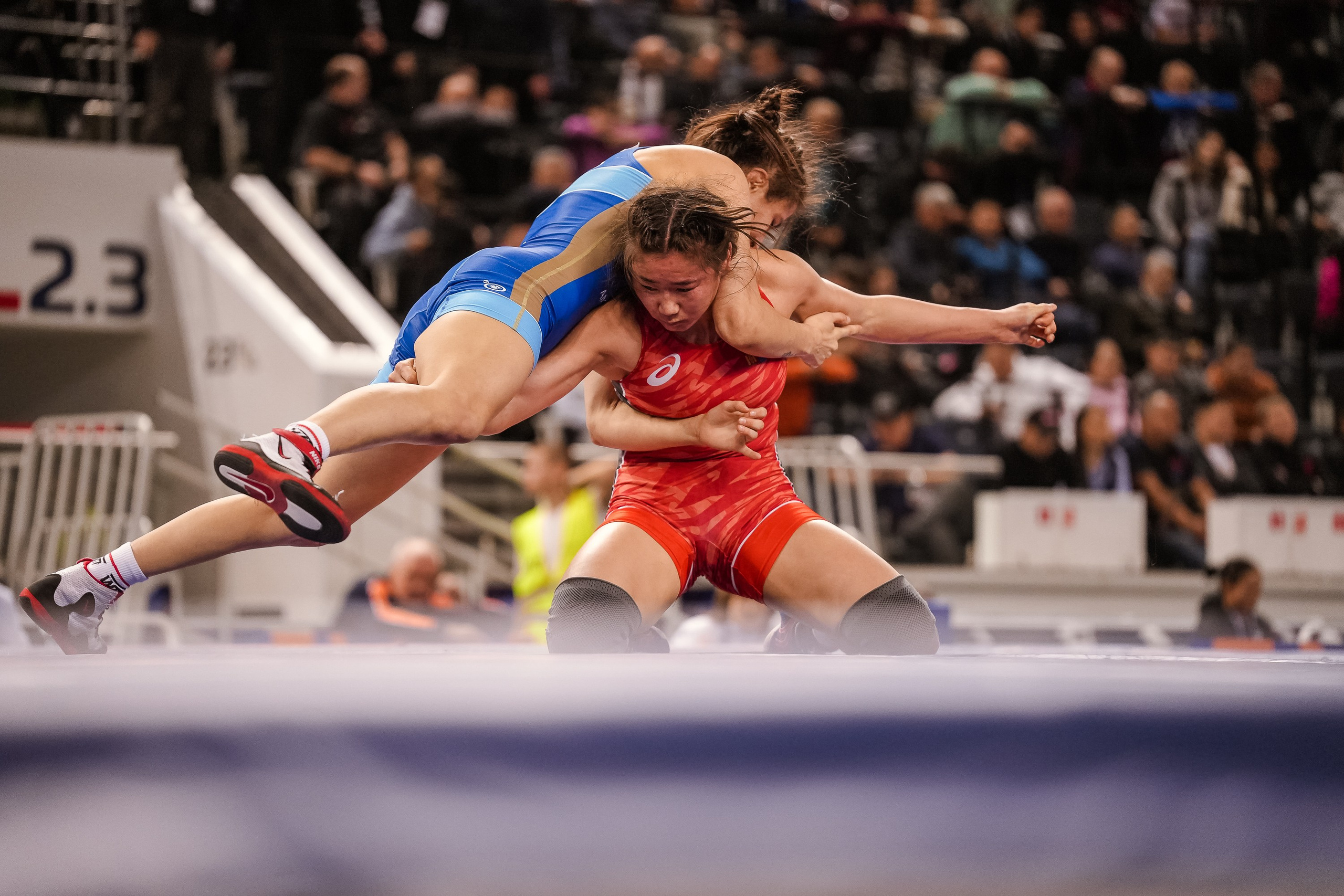 Кубок Ивана Ярыгина 2024 фото / Ivan Yarygin Cup 2024 photos. Фотограф Анна Герман. Красноярск