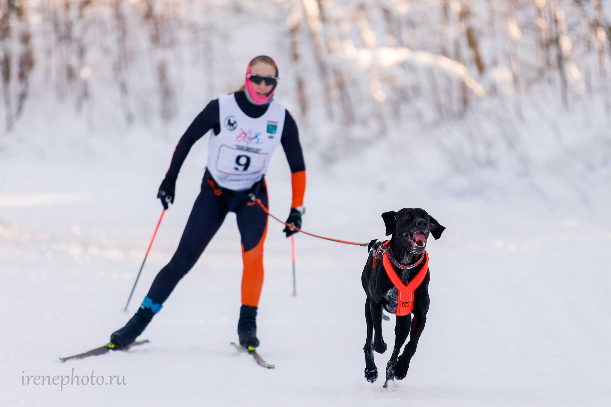 Чемпионат и Первенство Ленобласти — зима 2026. Irenephoto.ru