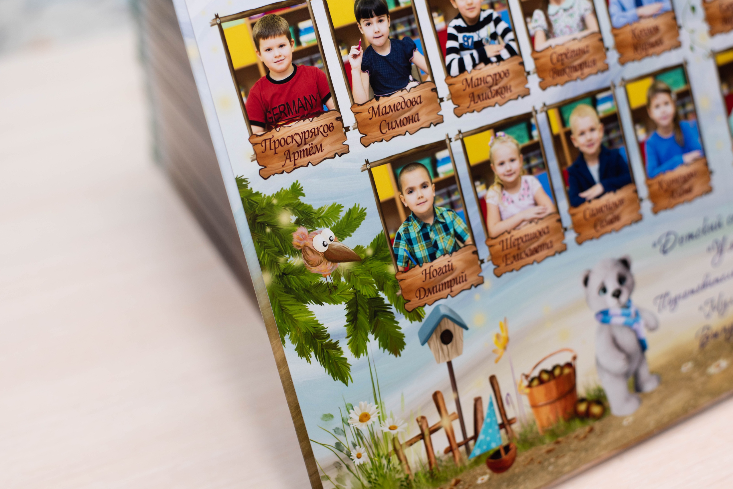 ДС ЛеснойЗимний. Выпускные альбомы в Подольске Москве и МО