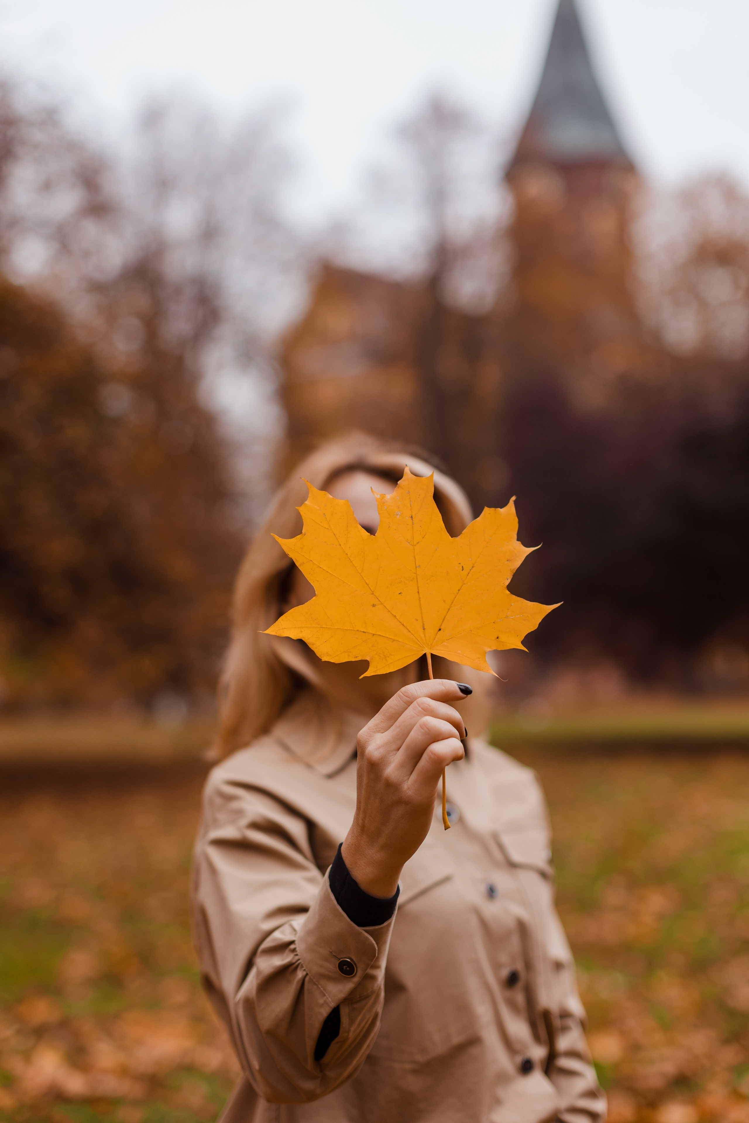 Семейная, золотая осень. Фотограф в Калининграде свадебная фотография, репортажная, фотосессии