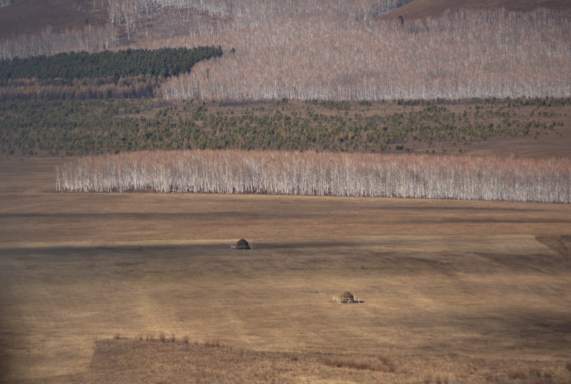 Разное. Репортажный фотограф г. Чита