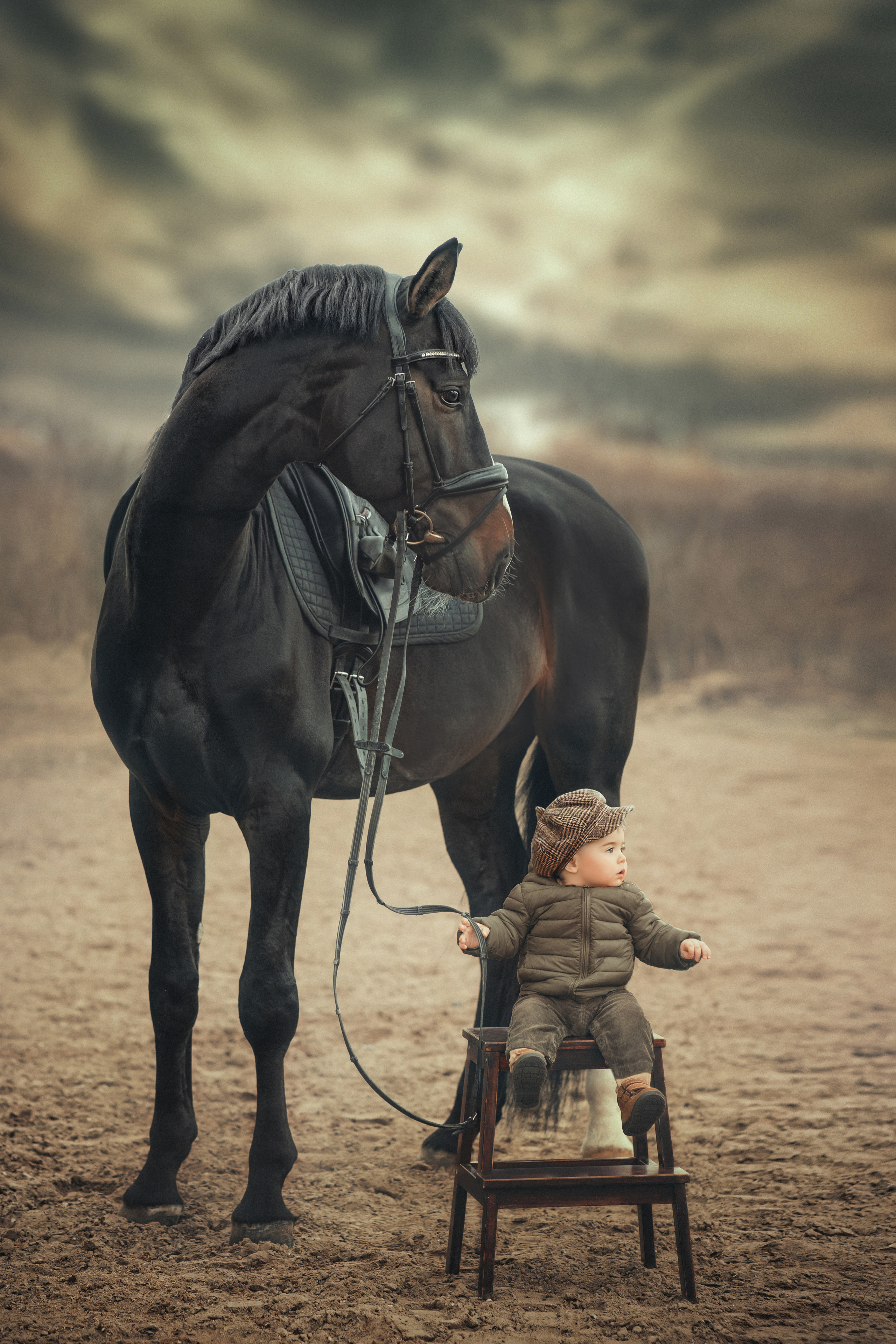 ФОТОСЕССИЯ С ЛОШАДЬМИ. Фотограф Москва