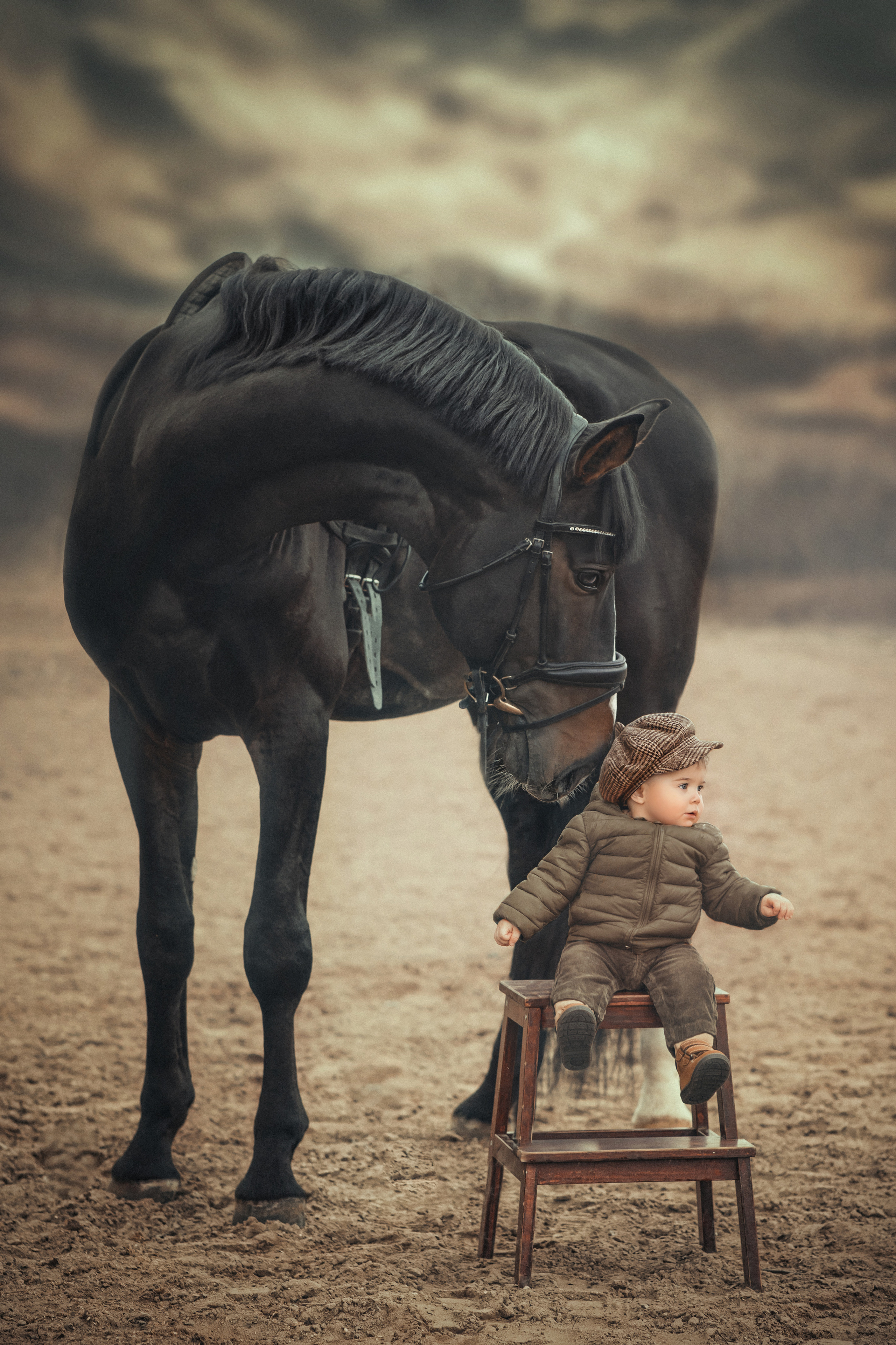 ФОТОСЕССИЯ С ЛОШАДЬМИ. Фотограф Москва