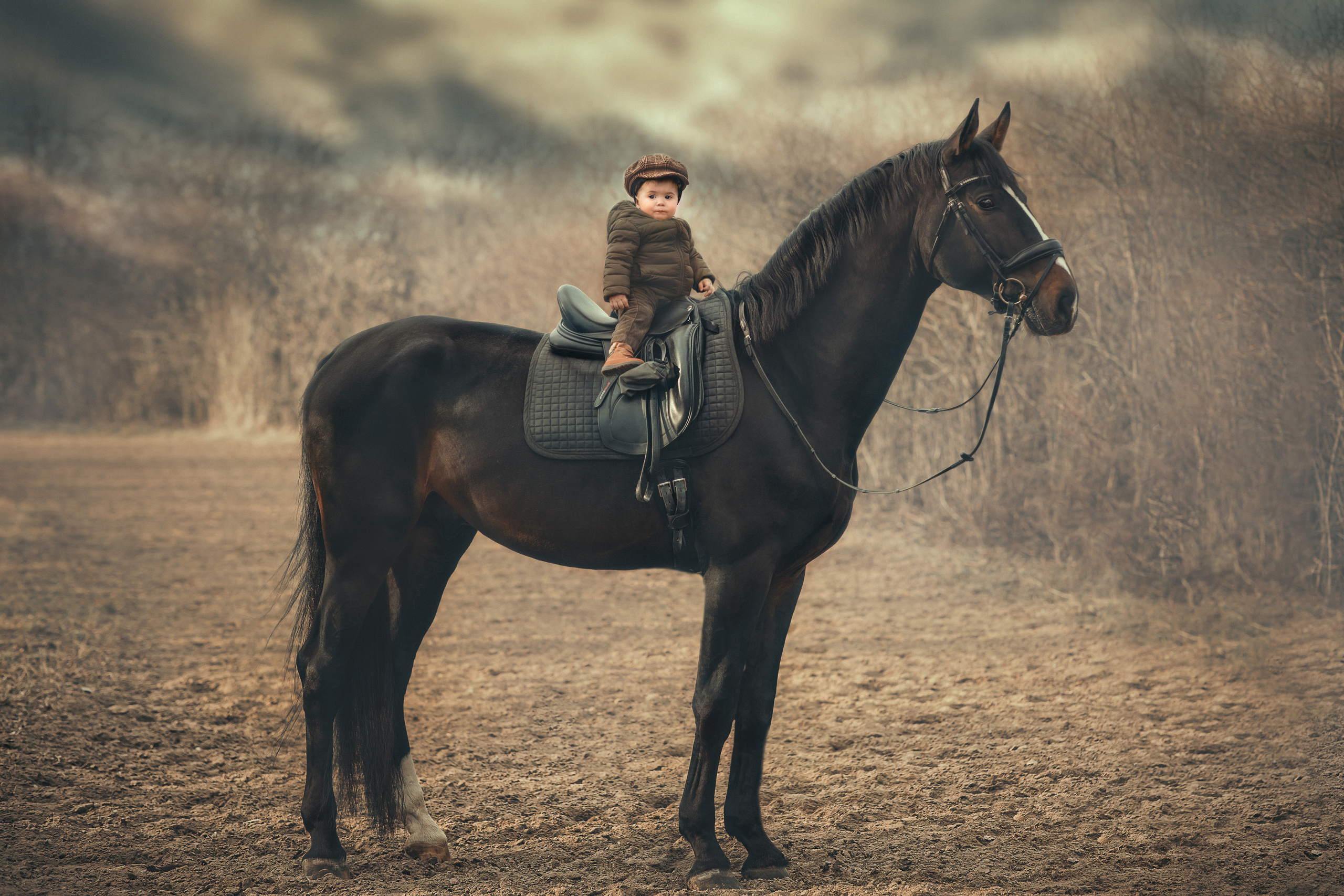 ФОТОСЕССИЯ С ЛОШАДЬМИ. Фотограф Москва