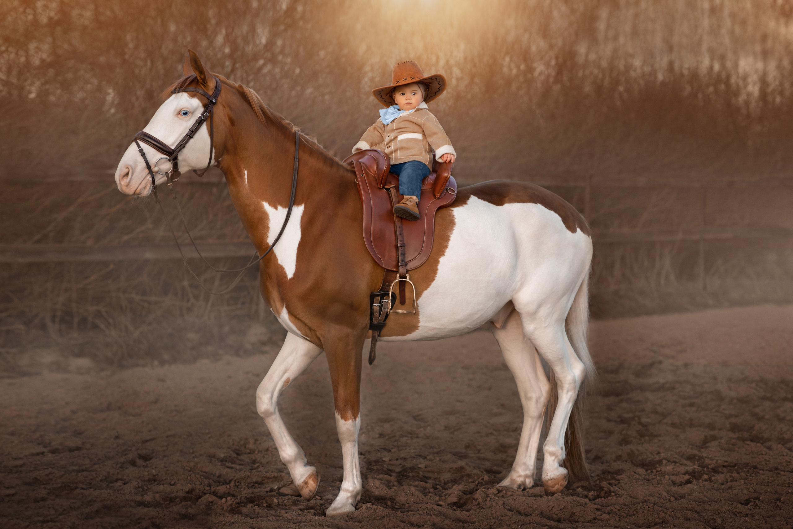 ФОТОСЕССИЯ С ЛОШАДЬМИ. Фотограф Москва