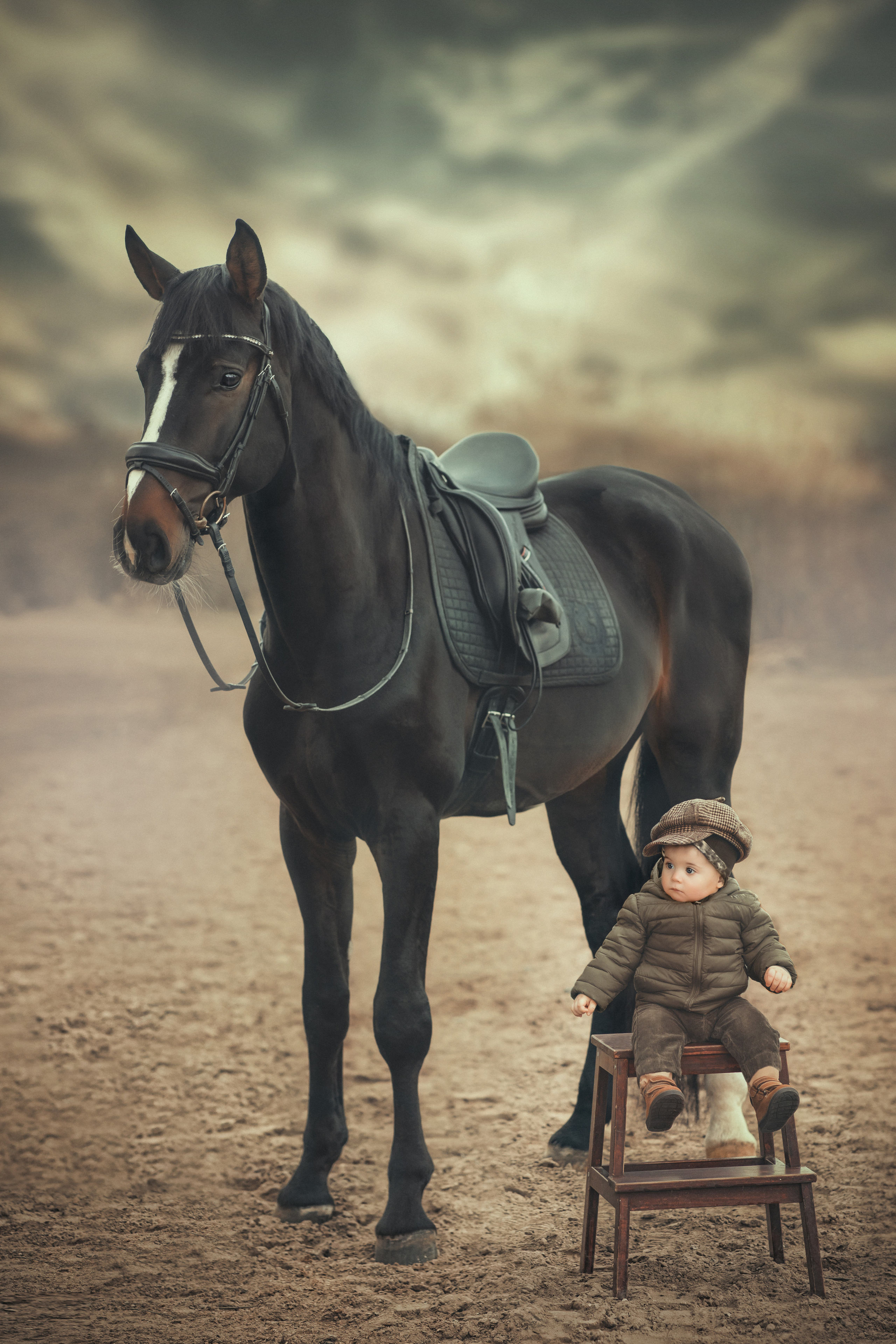 ФОТОСЕССИЯ С ЛОШАДЬМИ. Фотограф Москва