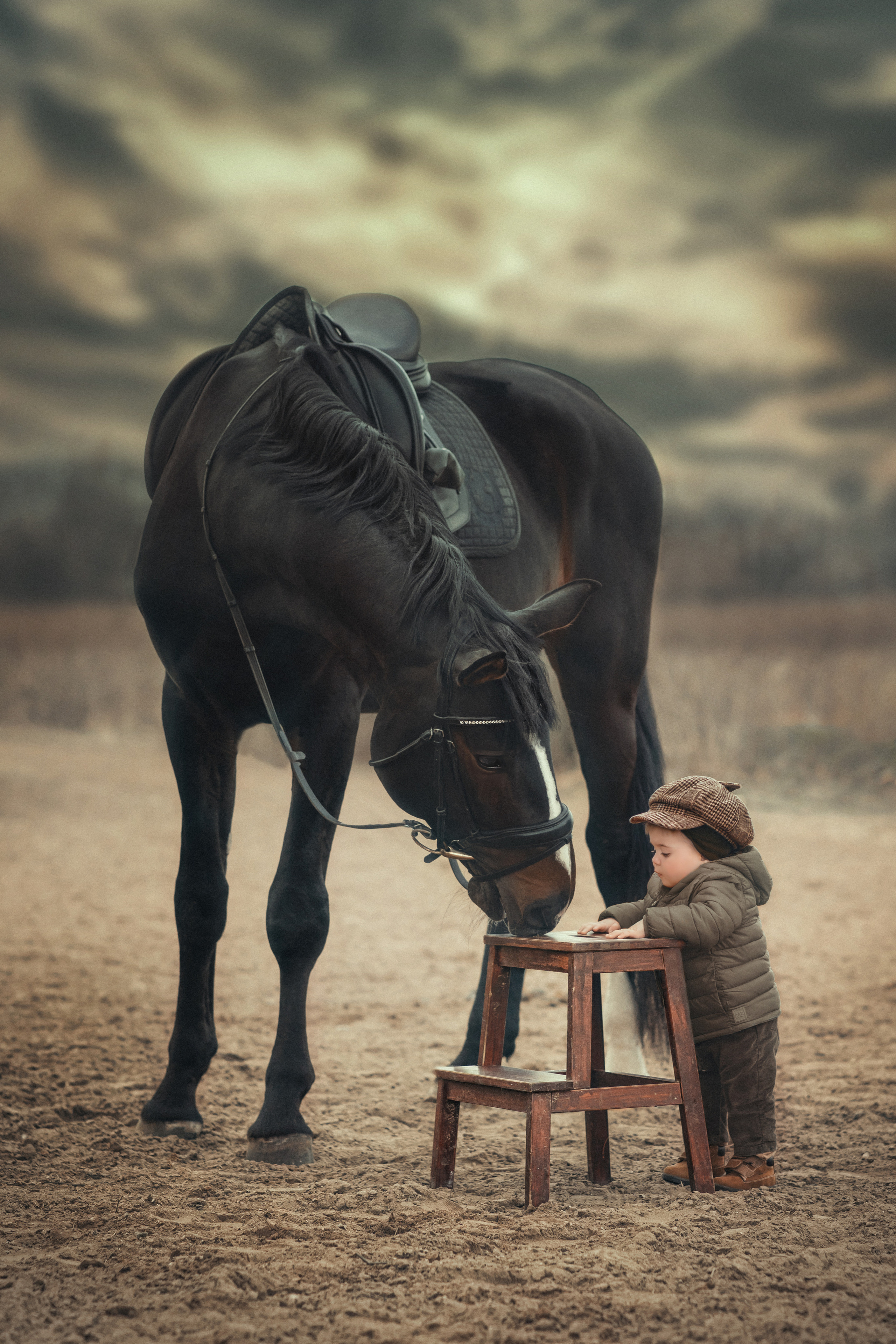 ФОТОСЕССИЯ С ЛОШАДЬМИ. Фотограф Москва