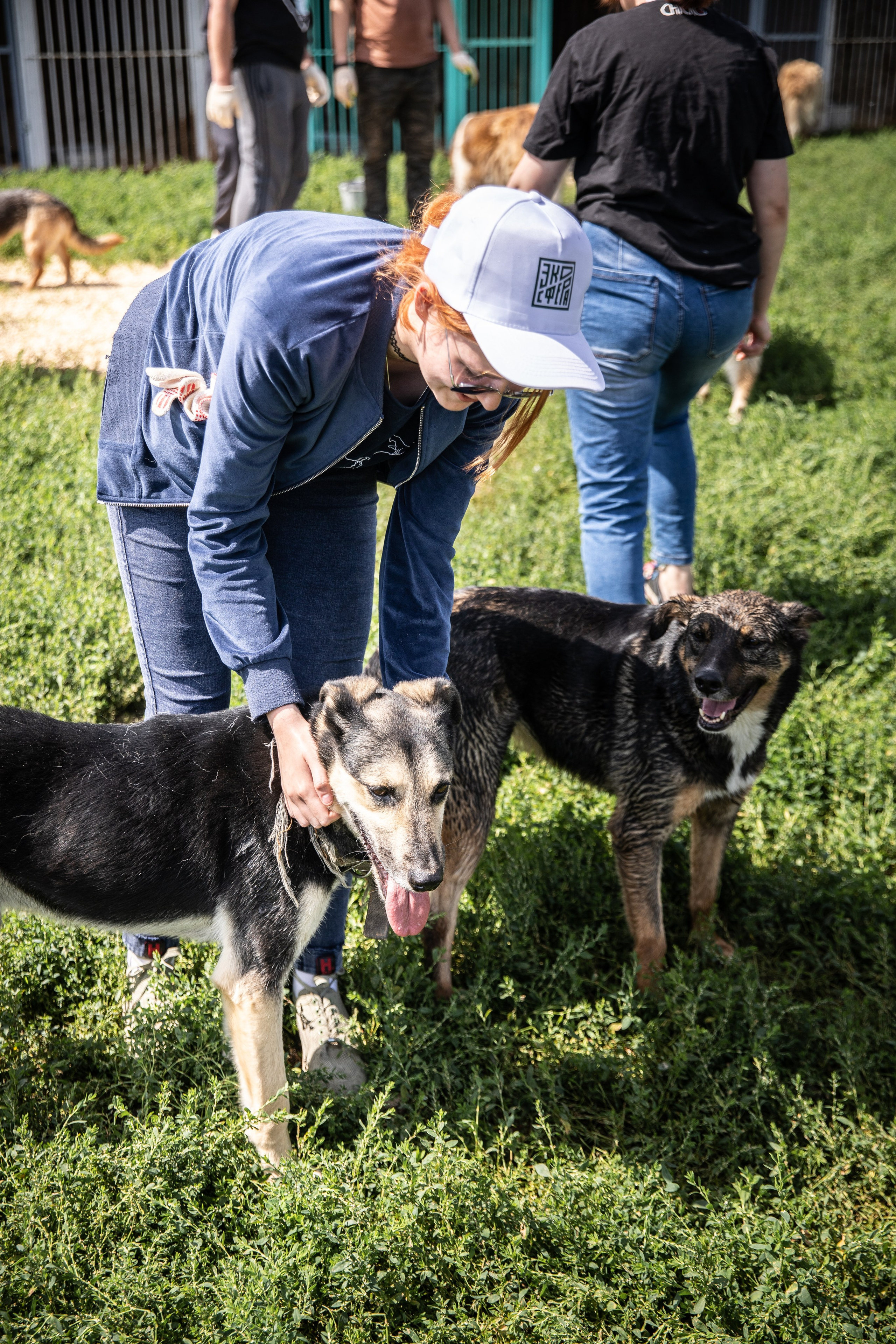 Приют — Наш дом. Репортажный и свадебный фотограф в Челябинске Елисеев Павел