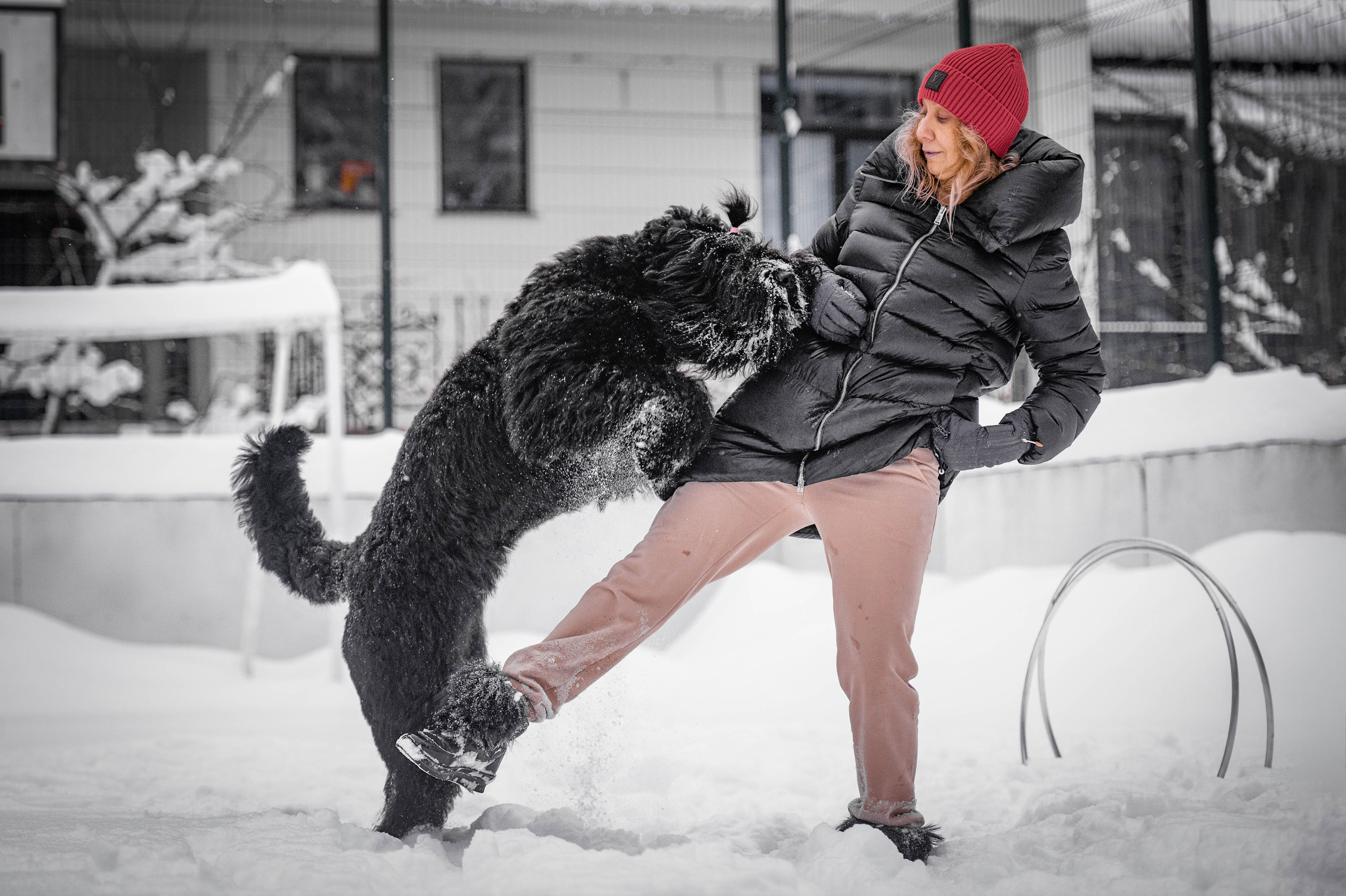 Клео. Фотограф-анималист