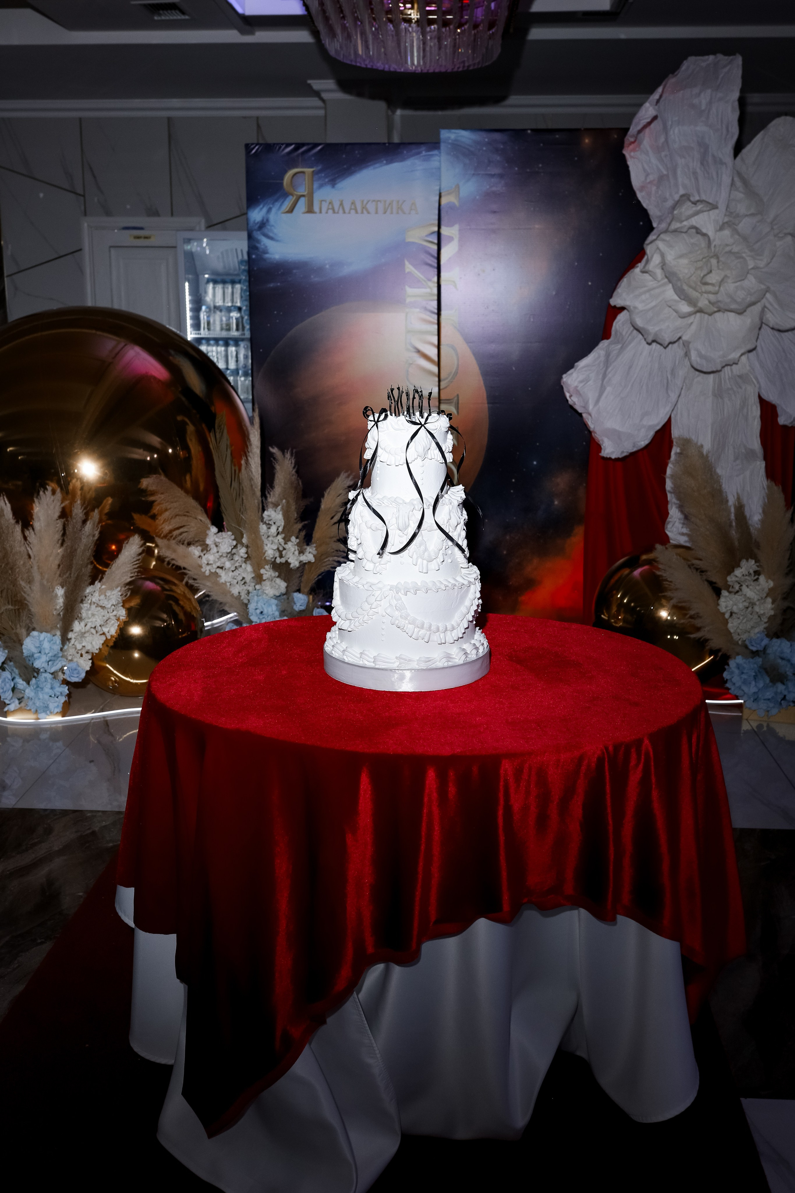 Роскошный вечер Наталии Карамянц