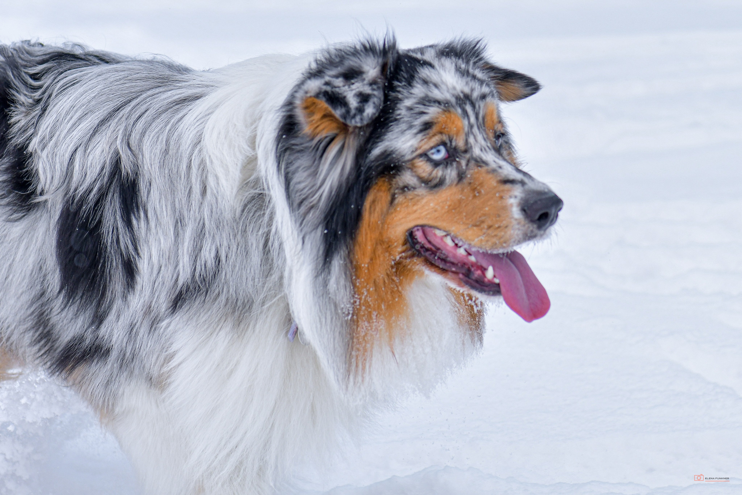 Зима. Свой взгляд через объектив