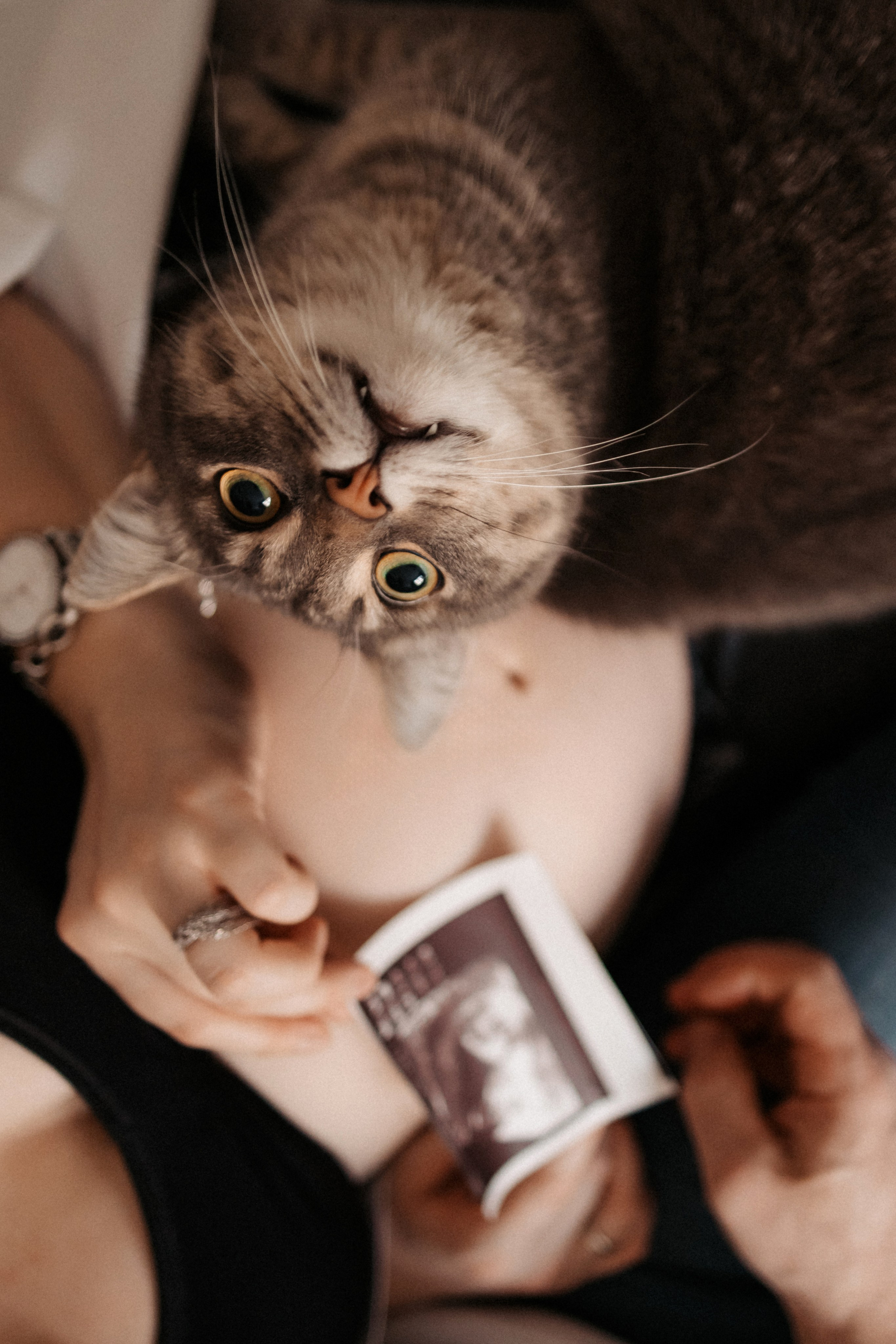 Домашняя. Фотограф Нижний Новгород