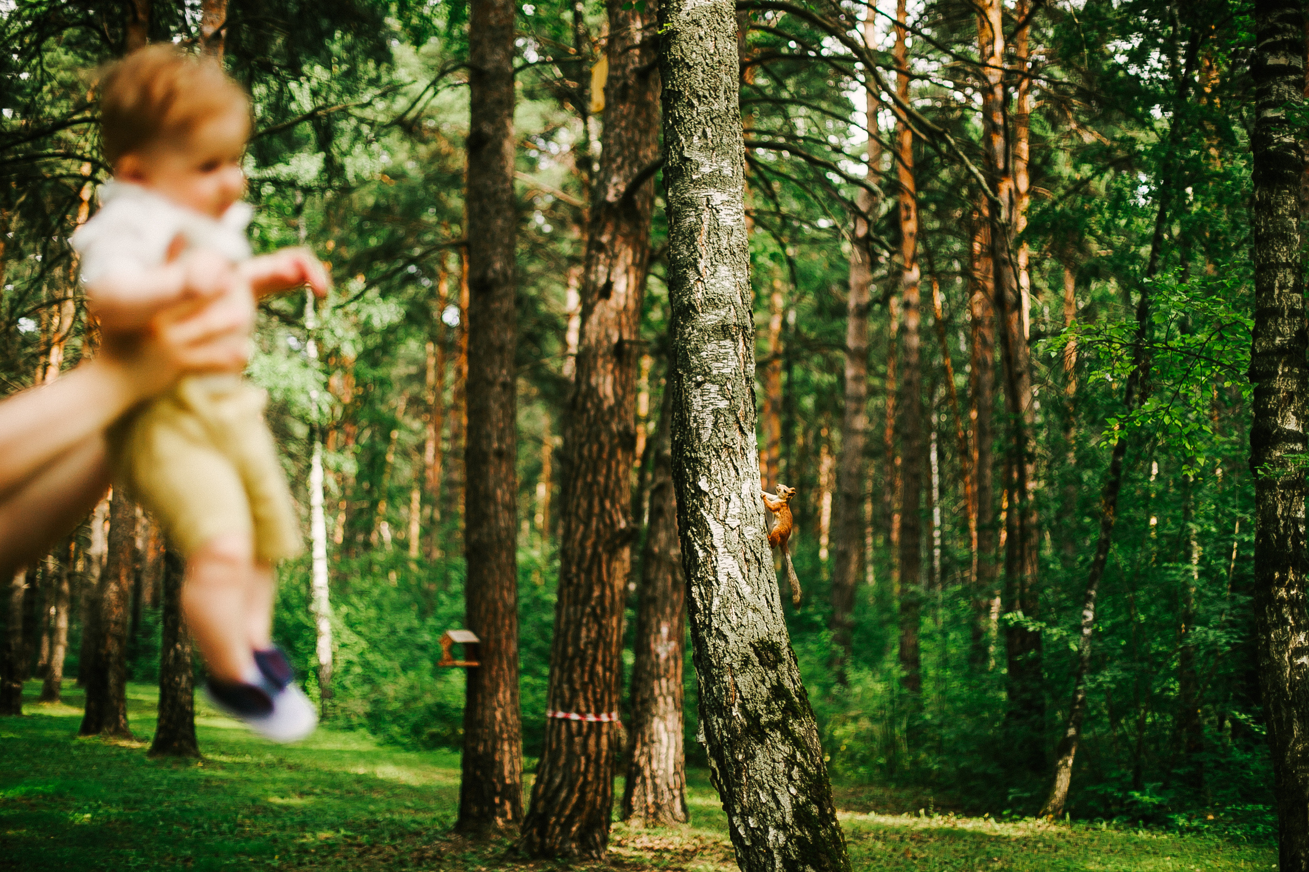 Дёма и родители. Прогулка по Гилевской роще. Фотограф Полина Егорова город Тюмень