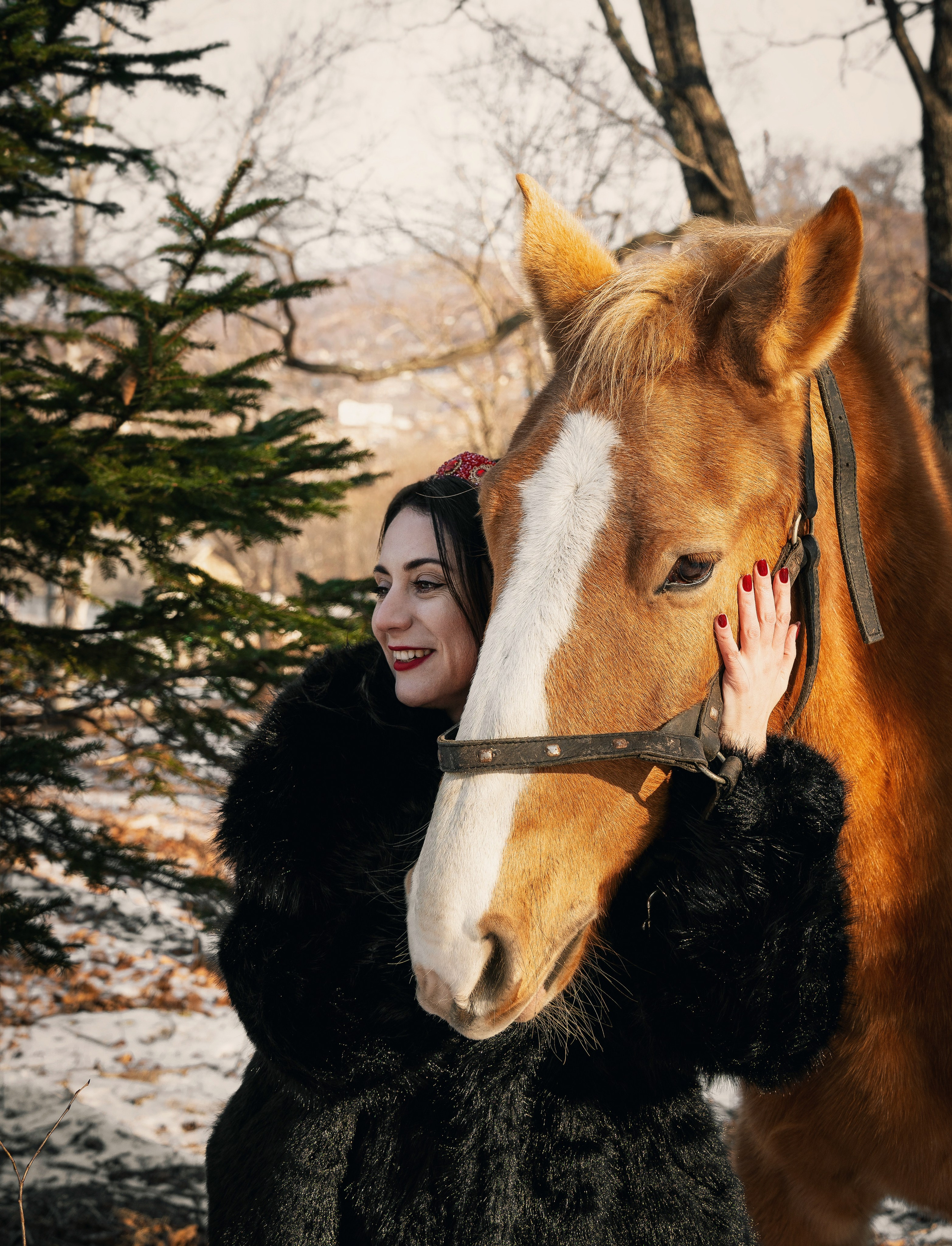 Фотодень «Символ 2026 года». Семейный фотограф анималист г. Находка