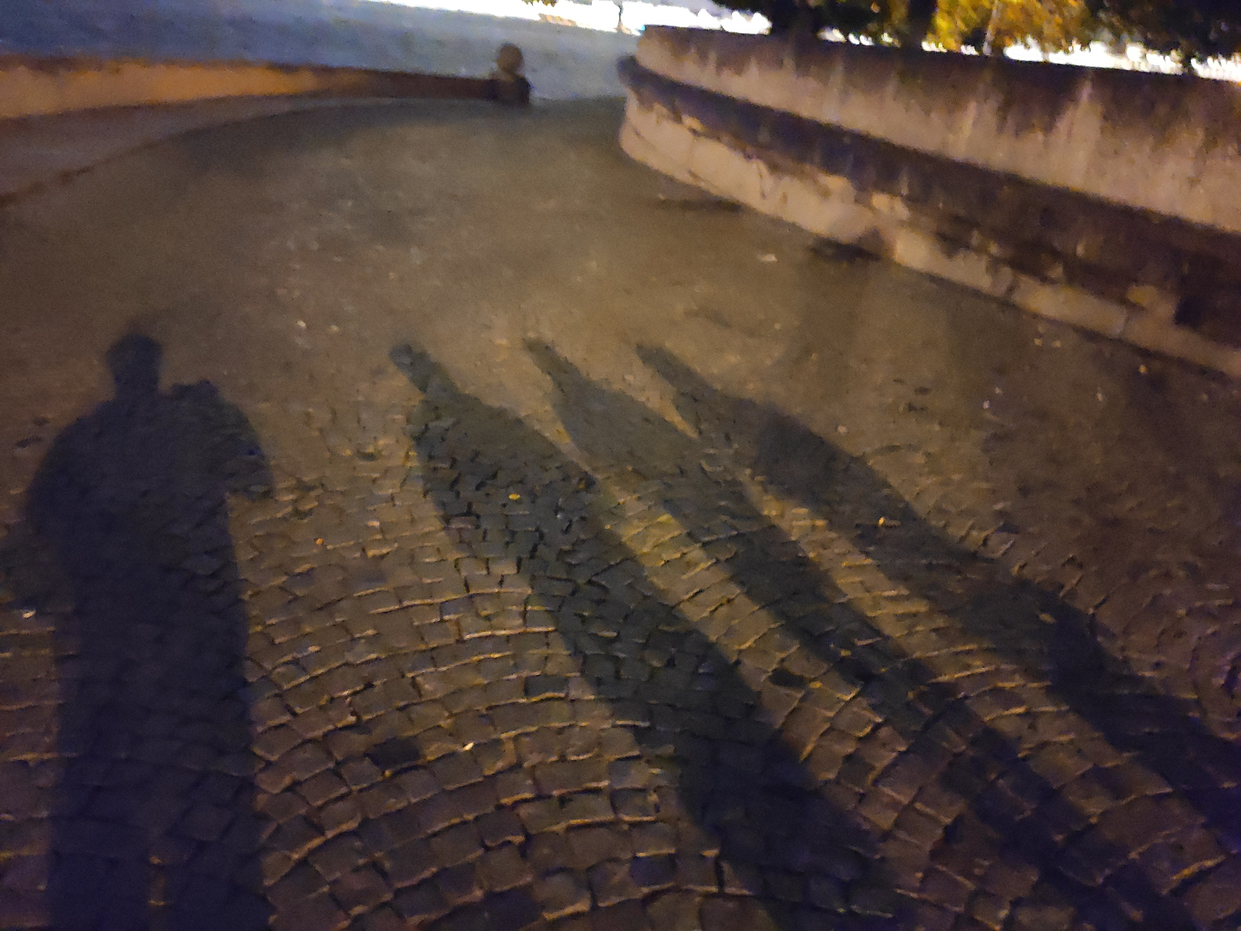 Быть летом в Питере и не посмотреть мосты - невозможно