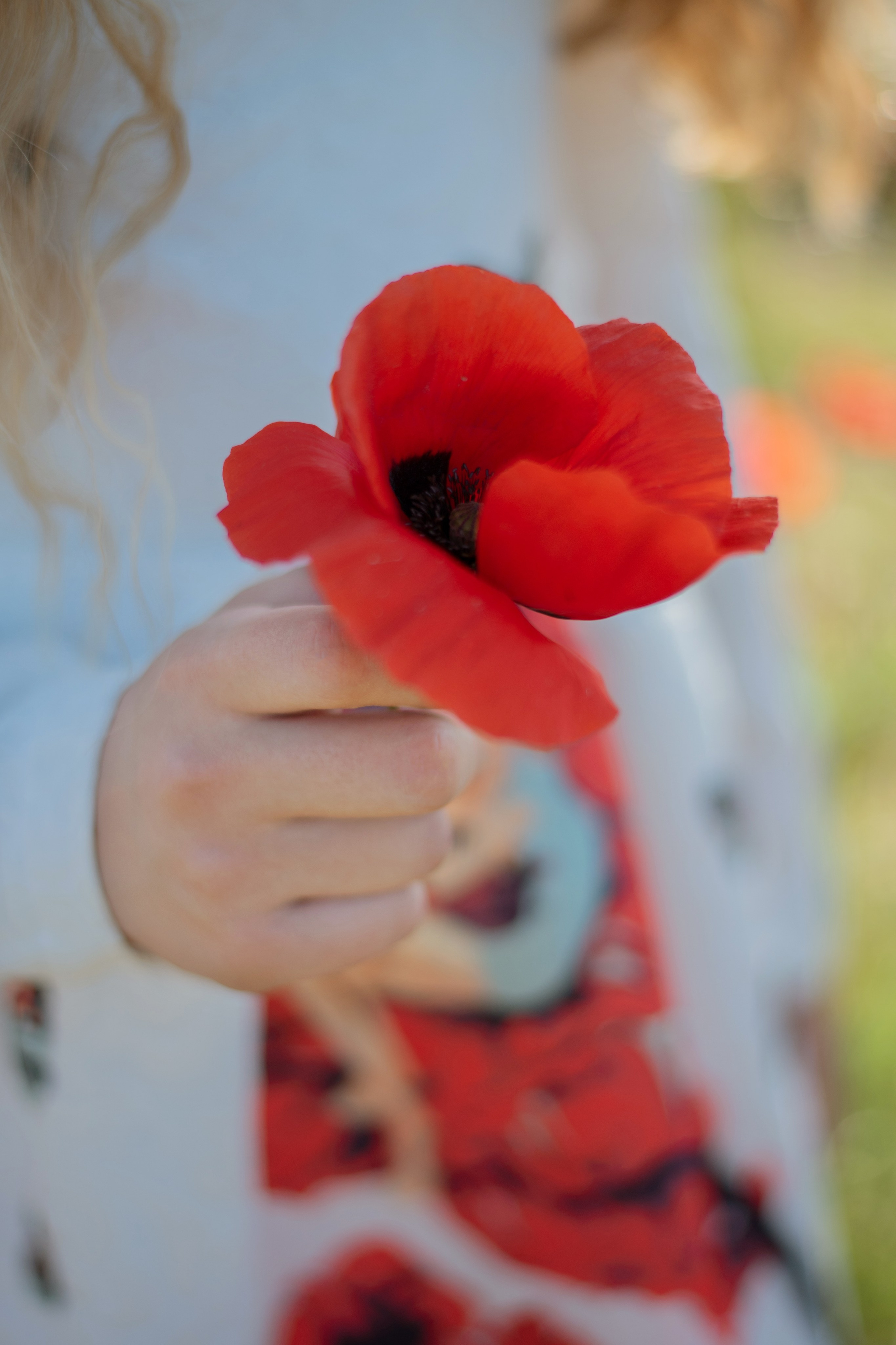 Лето. Лина Курочка — ваш фотограф