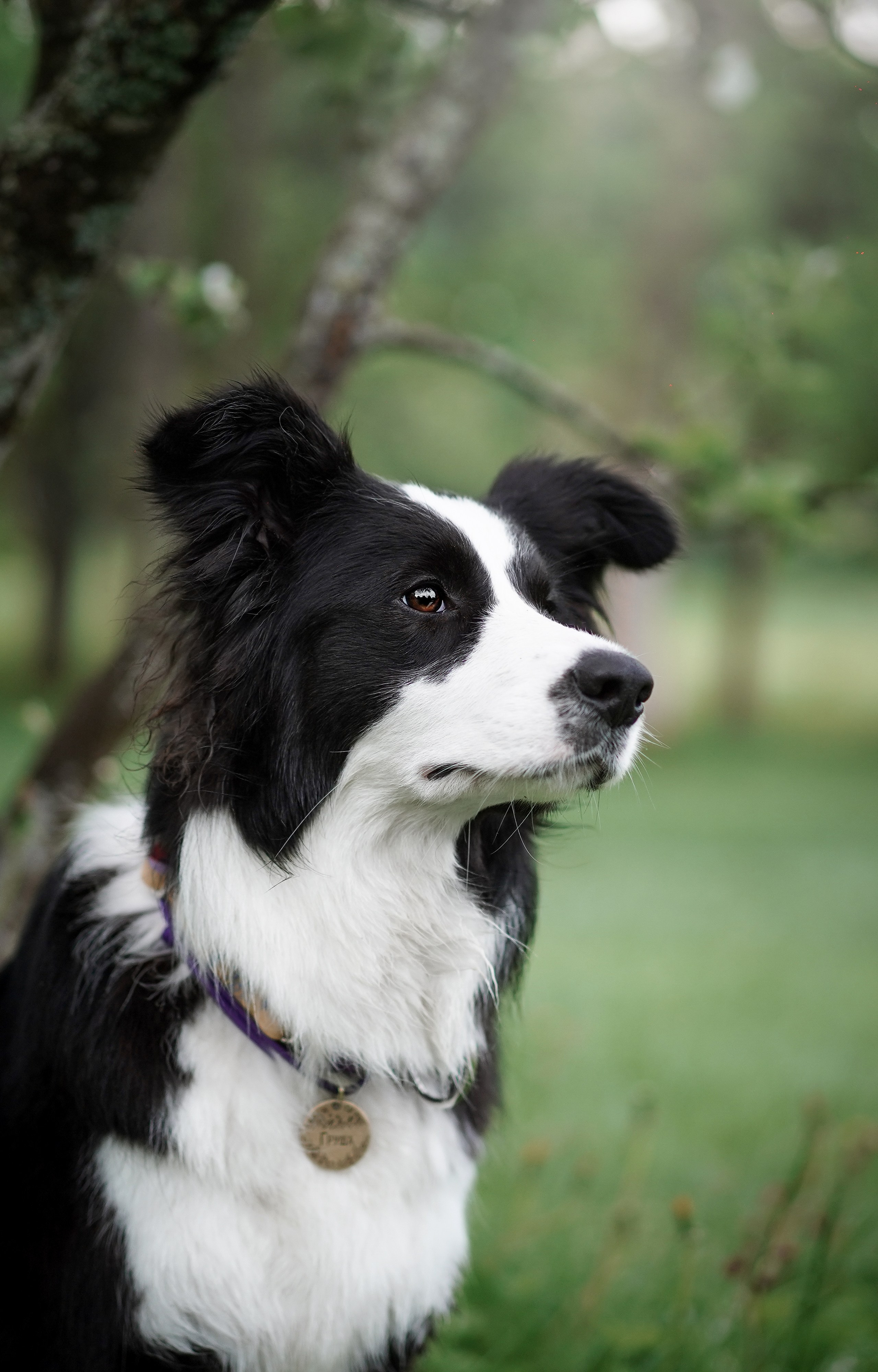 Юля, ее мама и Груша. Фотограф-анималист в Санкт-Петербурге Яна Мартынова