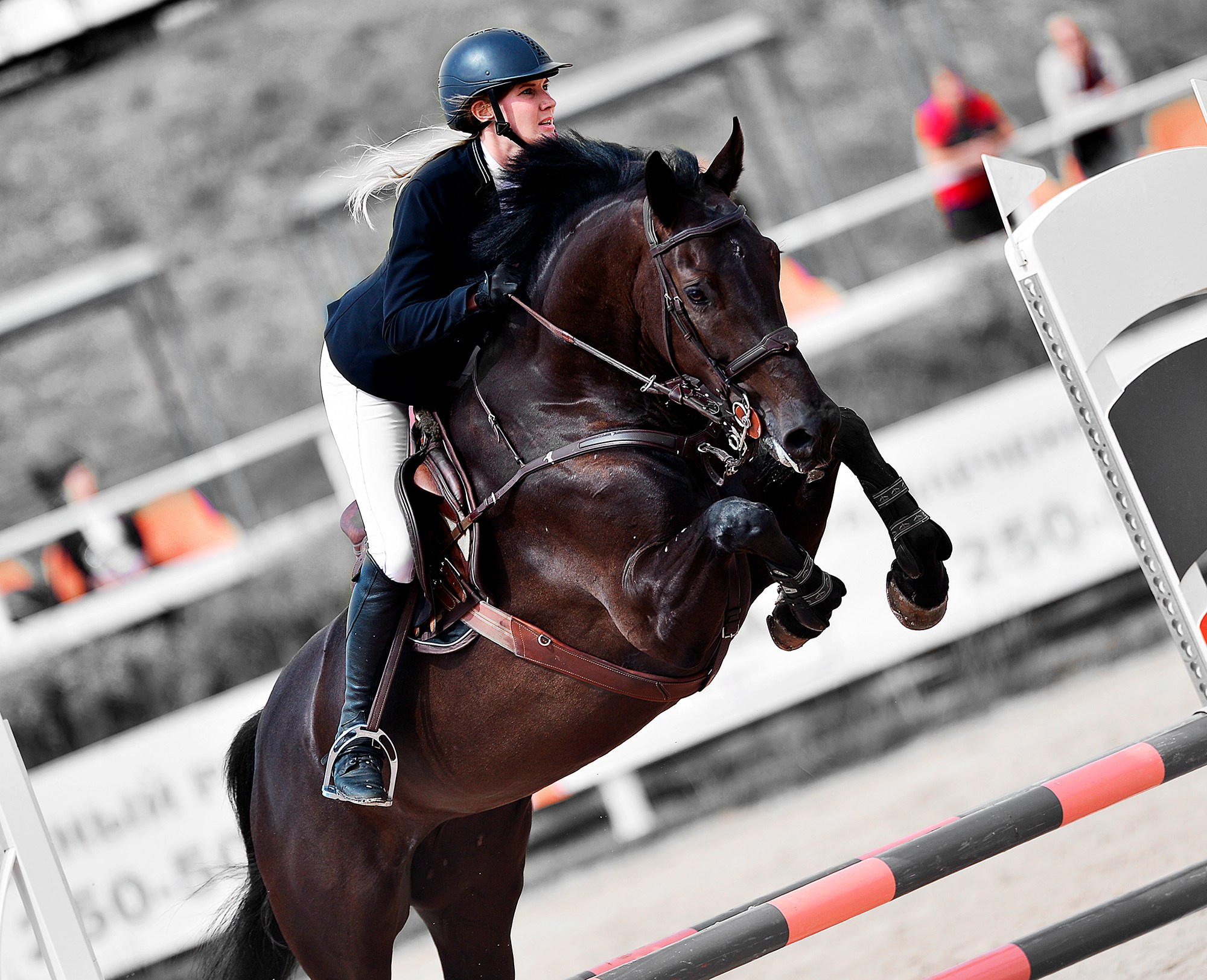 Спортивная конная фотография