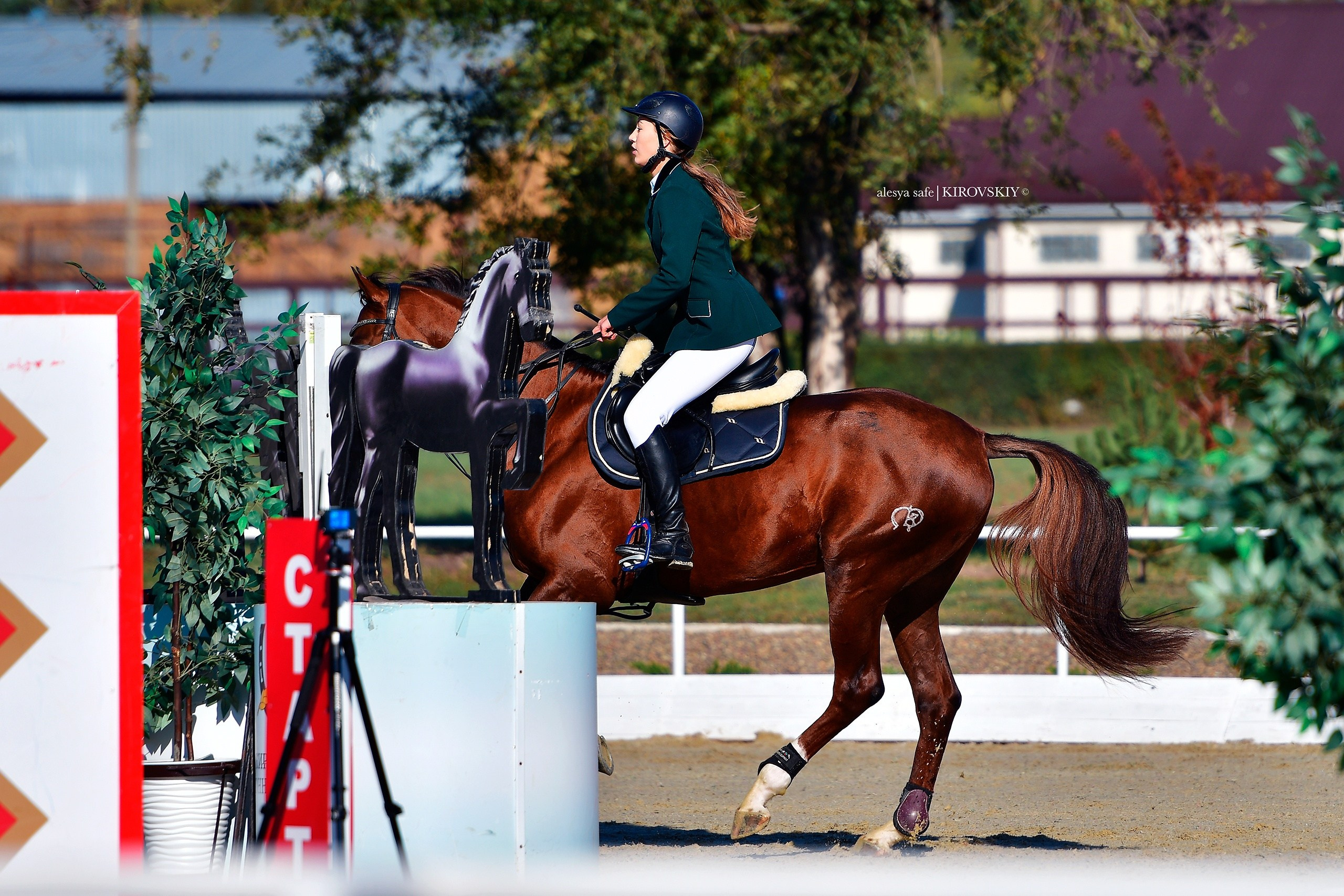 Кировский конный завод. Конный фотограф Alesya Safe