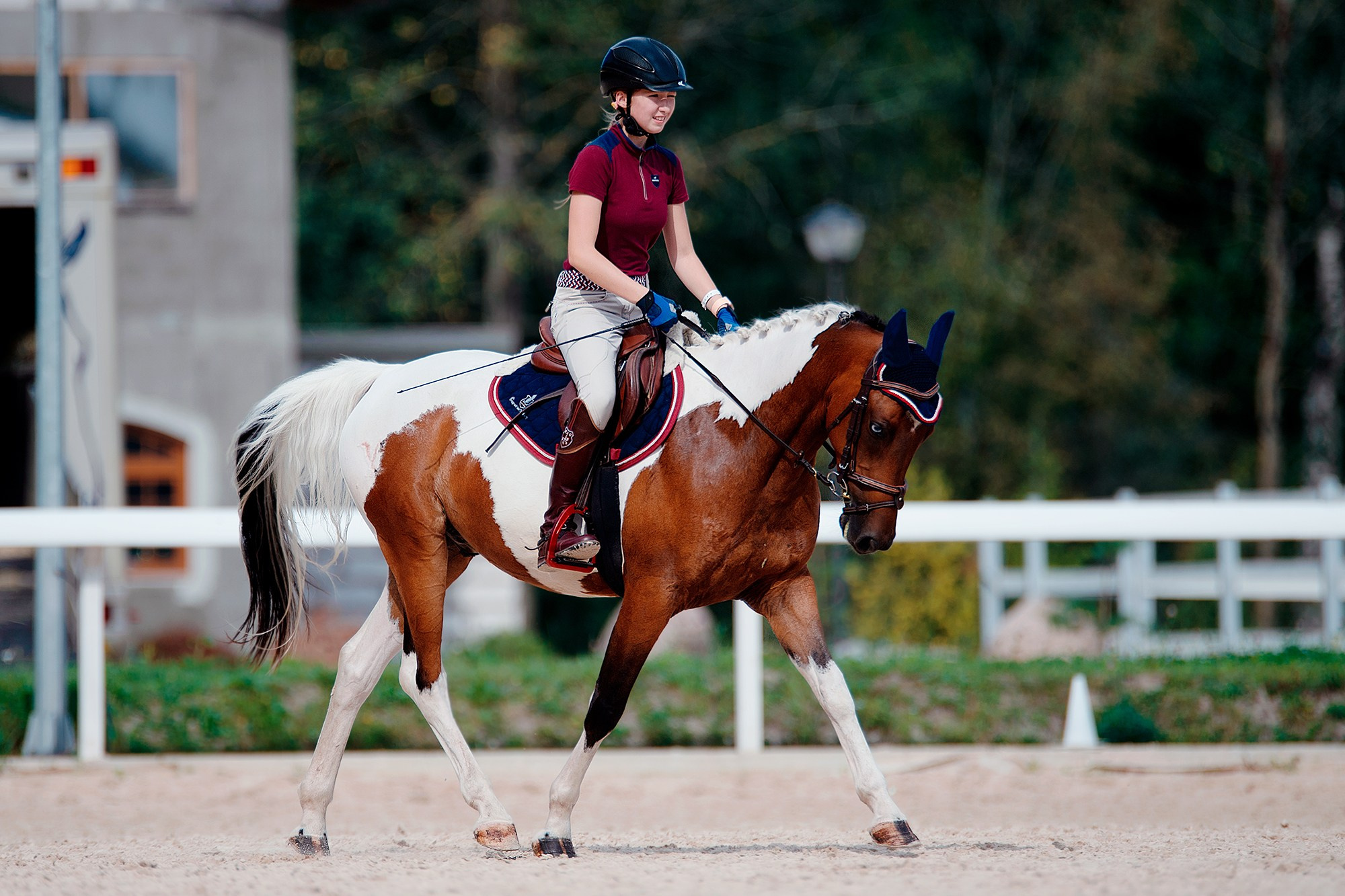 Тренировки. Конный фотограф Alesya Safe