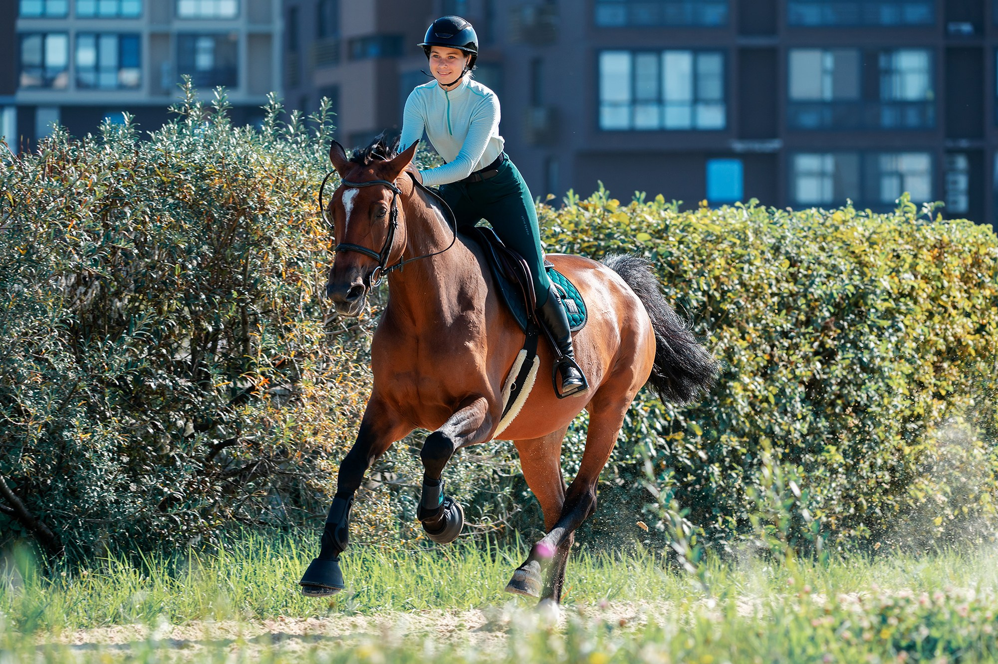 Тренировки. Конный фотограф Alesya Safe