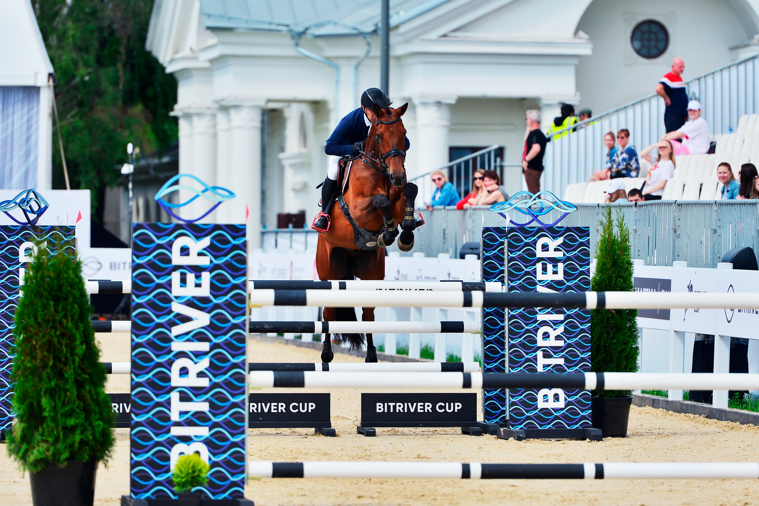 Репортаж Bitriver. Конный фотограф Alesya Safe