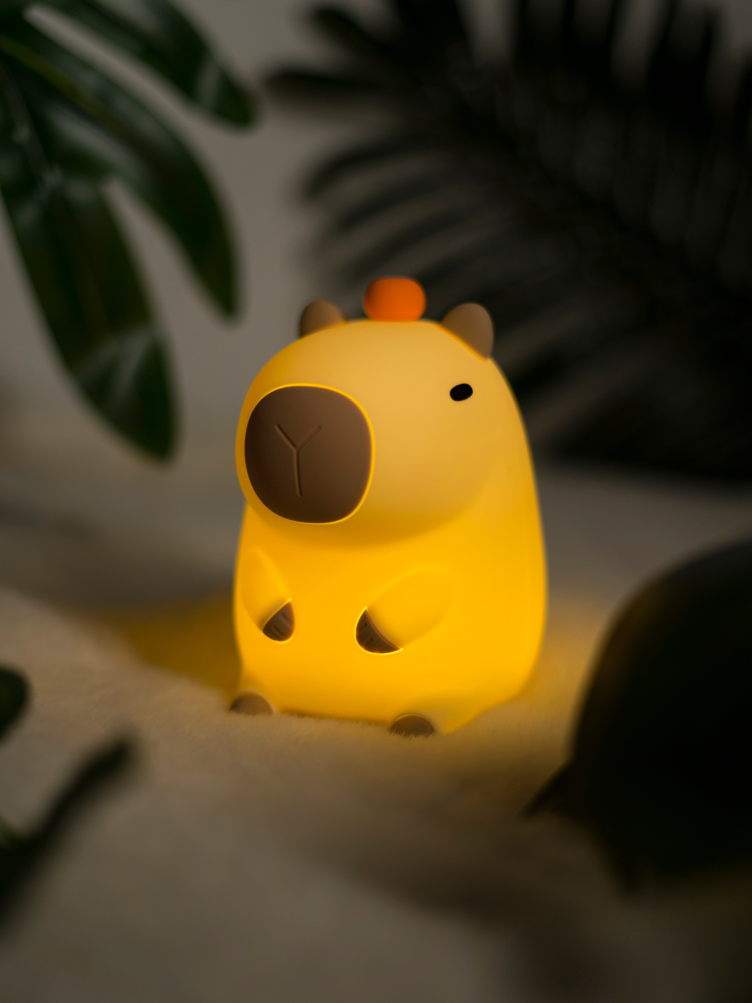 Ночник. Концептуальный фотограф Шлыкова Ольга