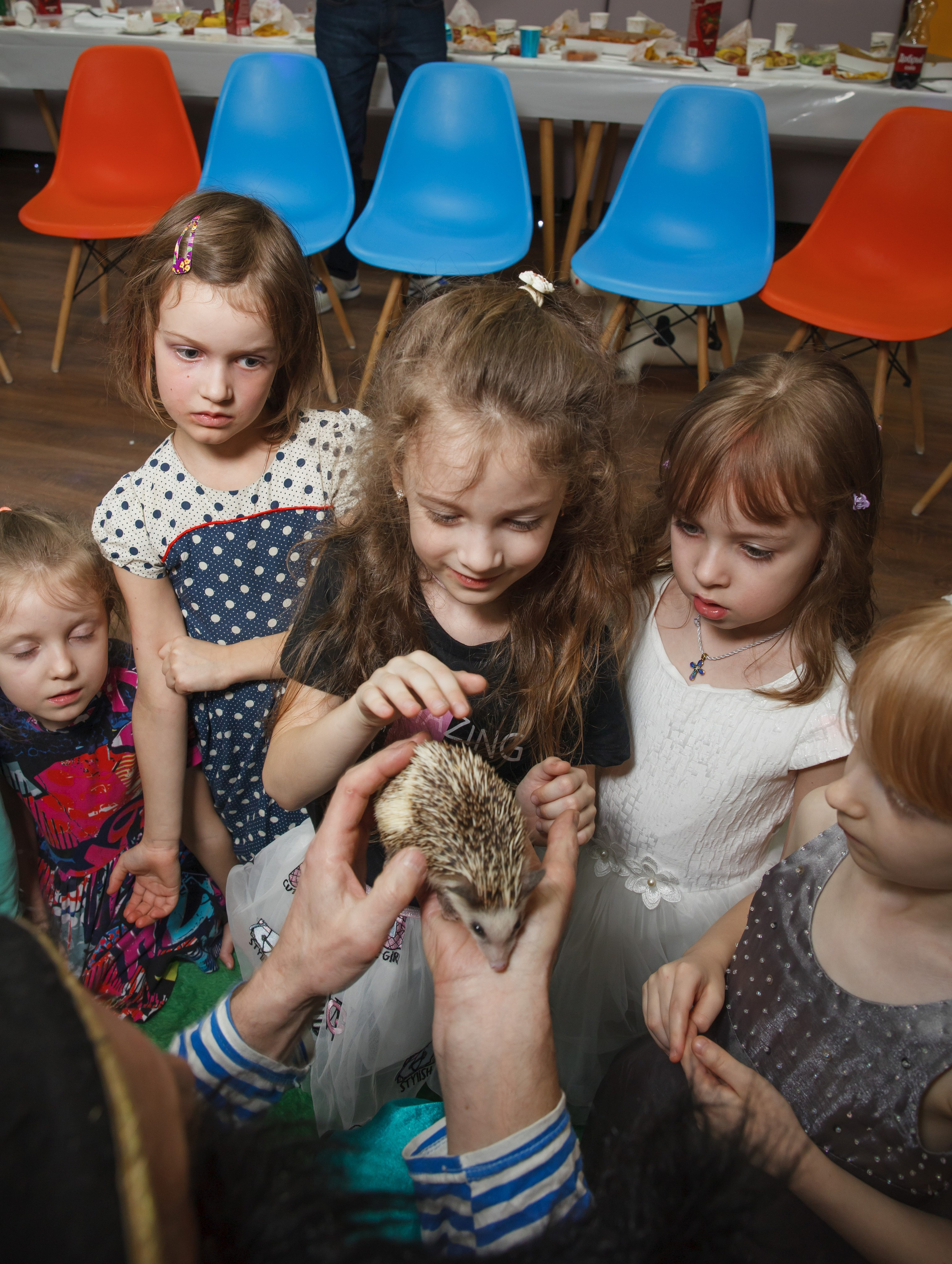 День рождения Егора, 6 лет, «Мультяшка». Свадебный и репортажный фотограф (Москва, Королев и другие)