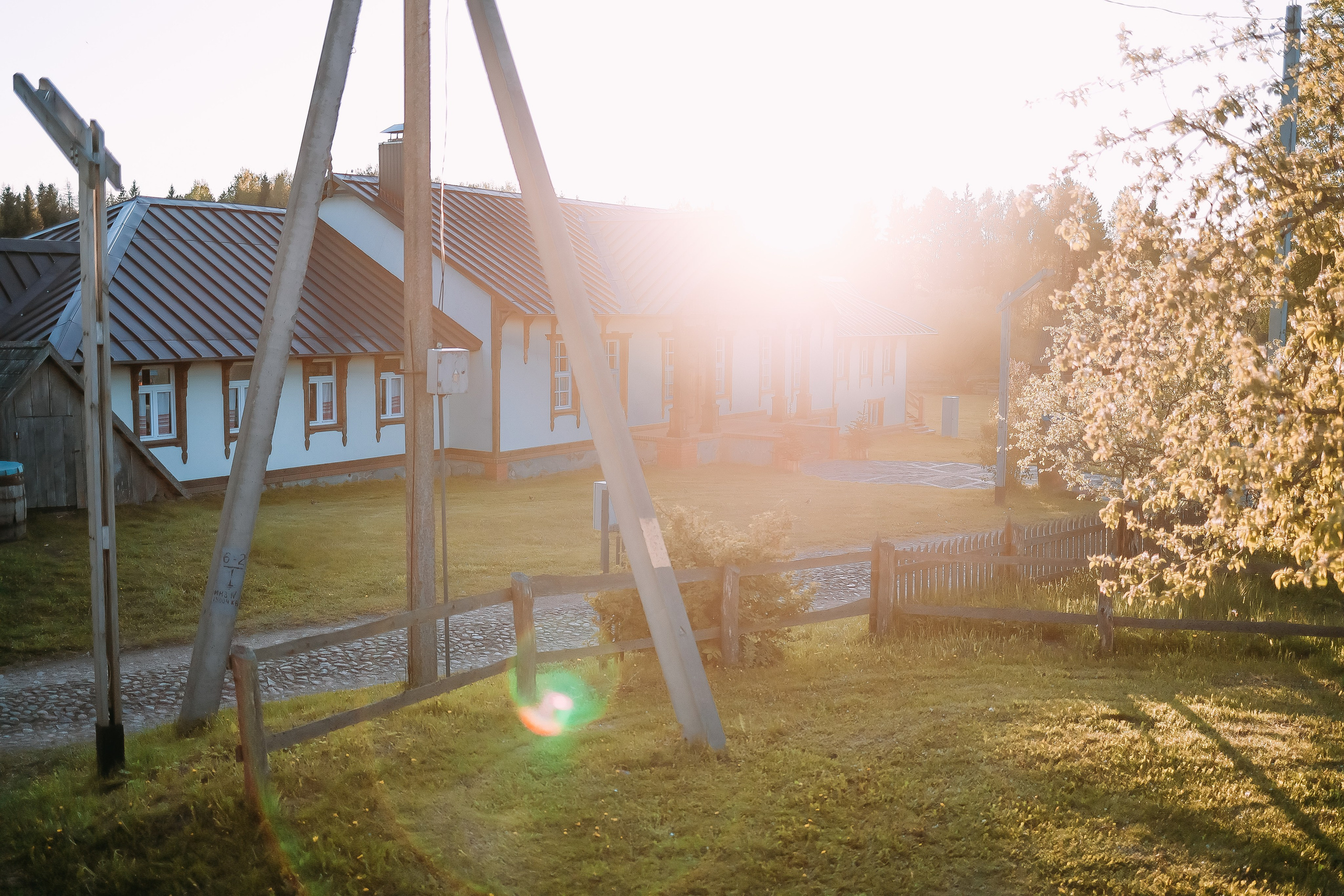 Белые Луга. Детский и семейный фотограф Малых Ольга г. Салехард