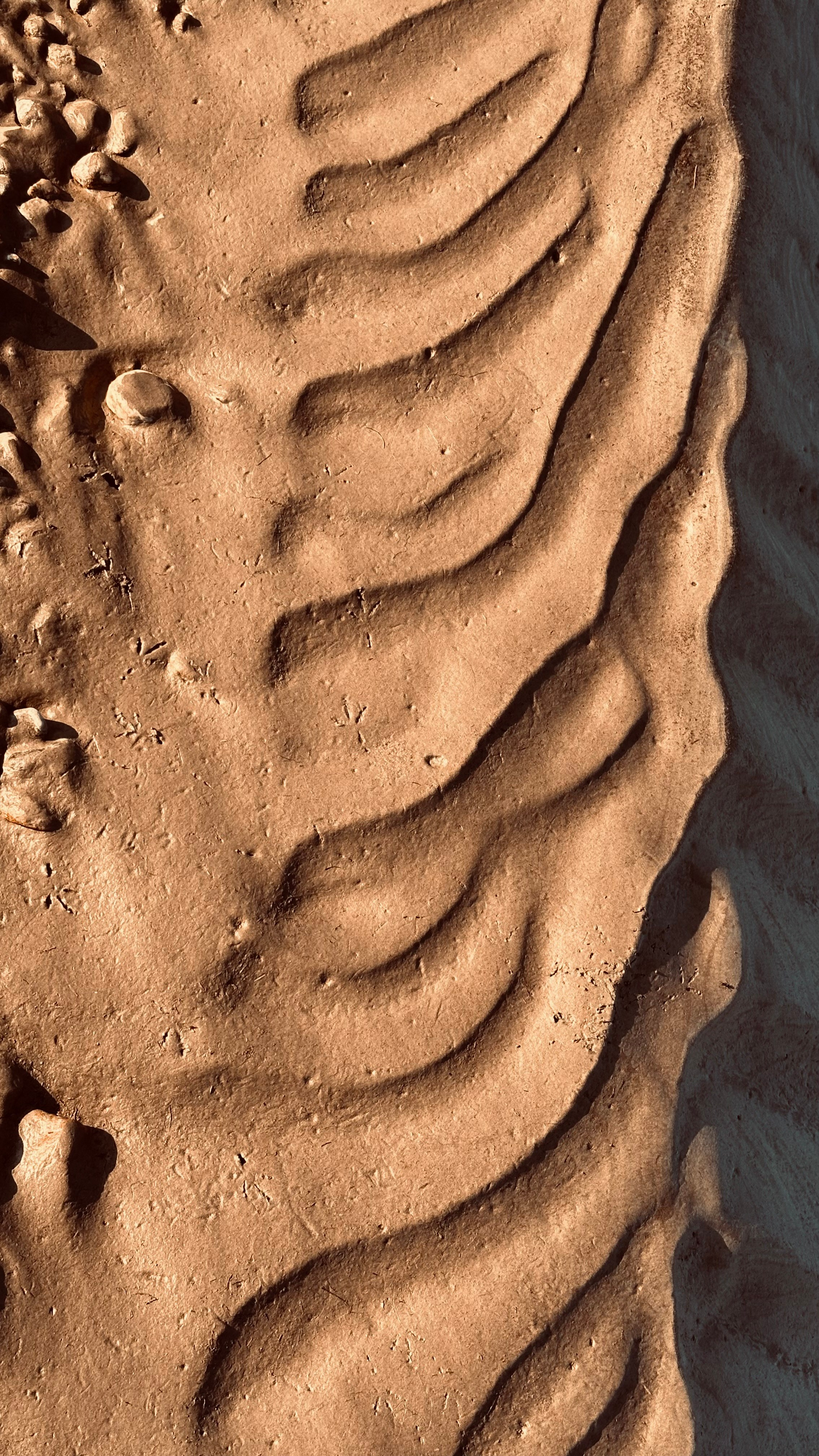 2024. Тащилин Сергей. Фотографии. Жизнь. Хобби