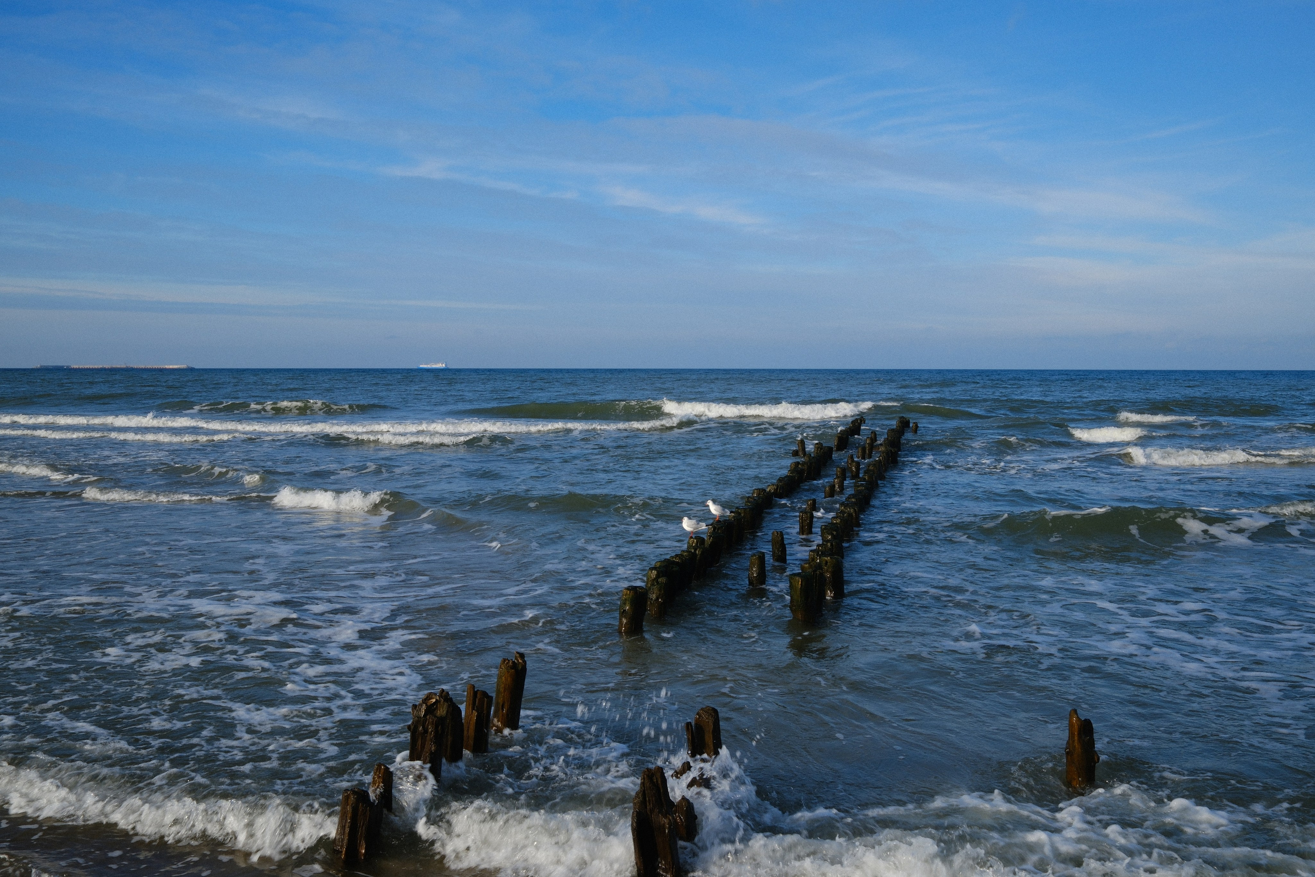 Зеленоградск. Калининградская область. Алексей Торопов фотограф