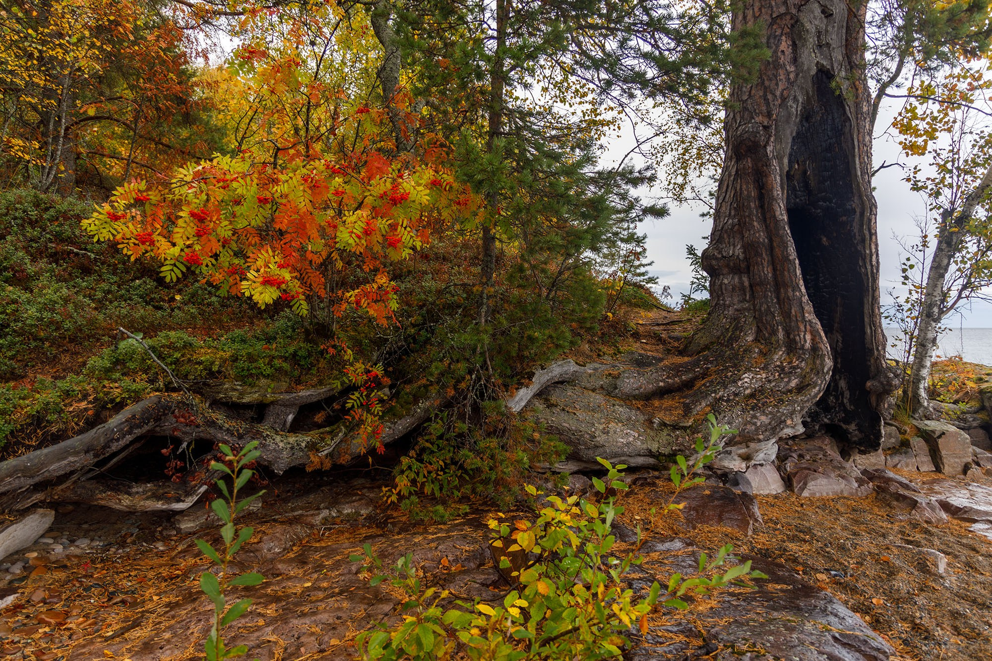 Вепсы. Sysoevaoksana