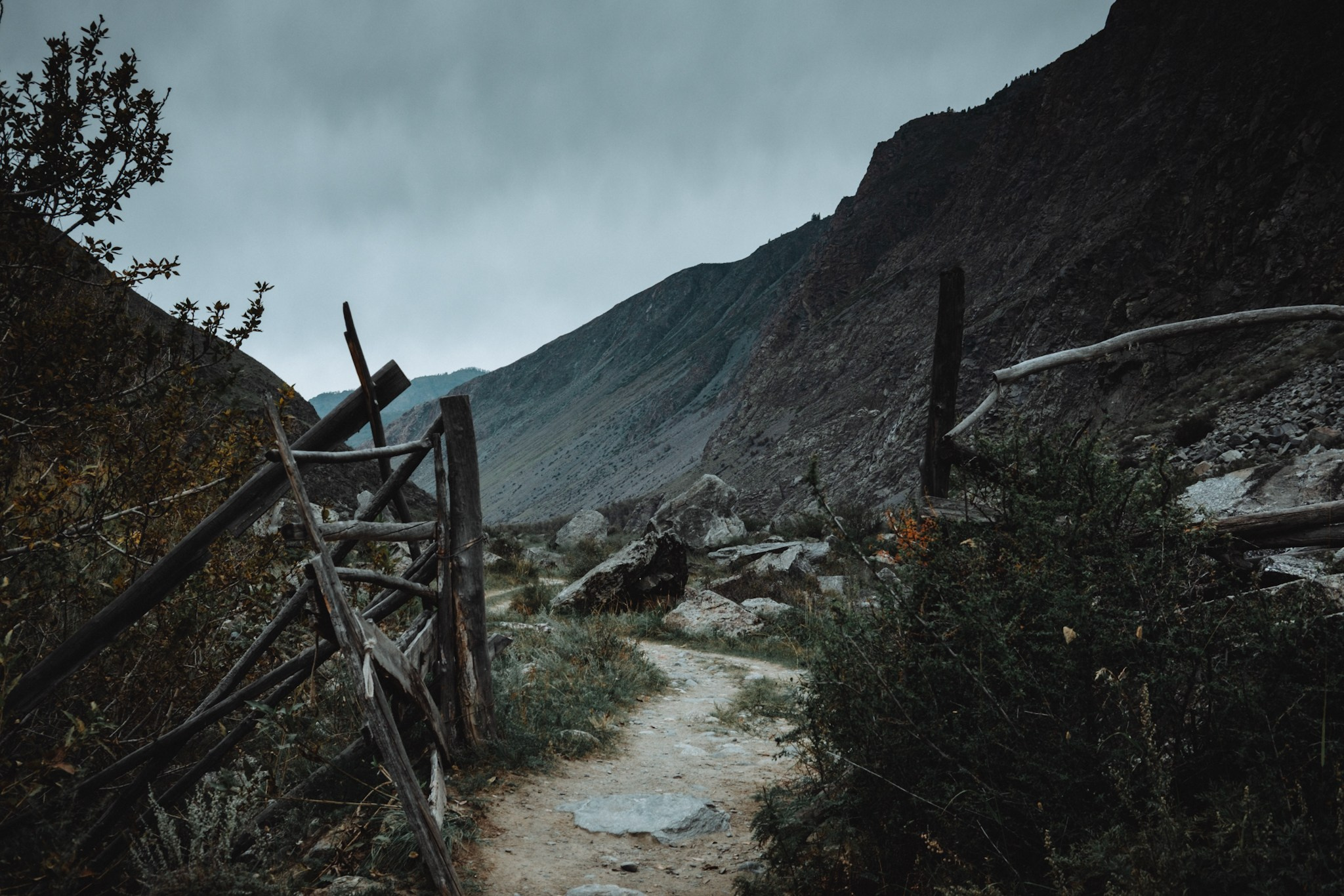 Алтай (мобилография). Фотограф в Москве, в Самаре Инна Мамонова