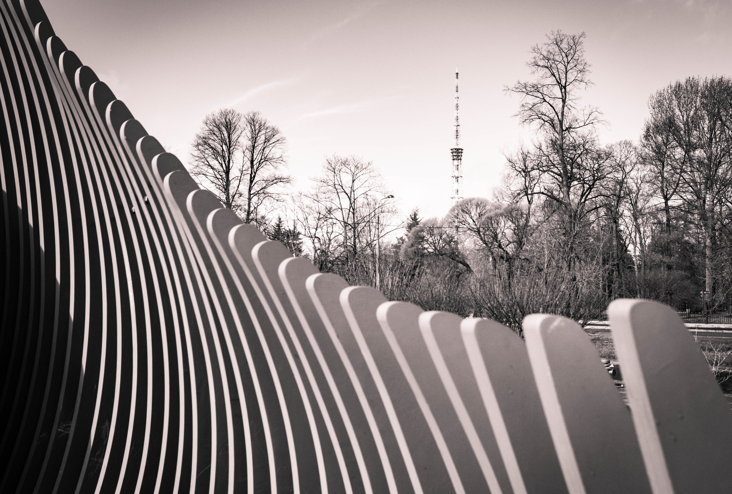 Ритмы карантина. Мари Линёк-Стельмах Фотохудожник Санкт-Петербург/Урал