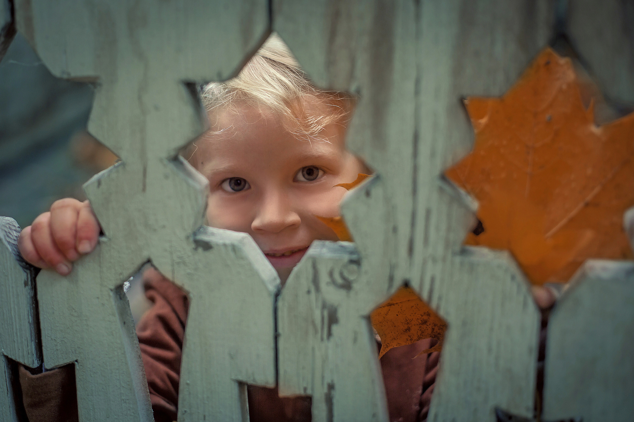 Братцево «Усадебные истории». Фотограф на крестины