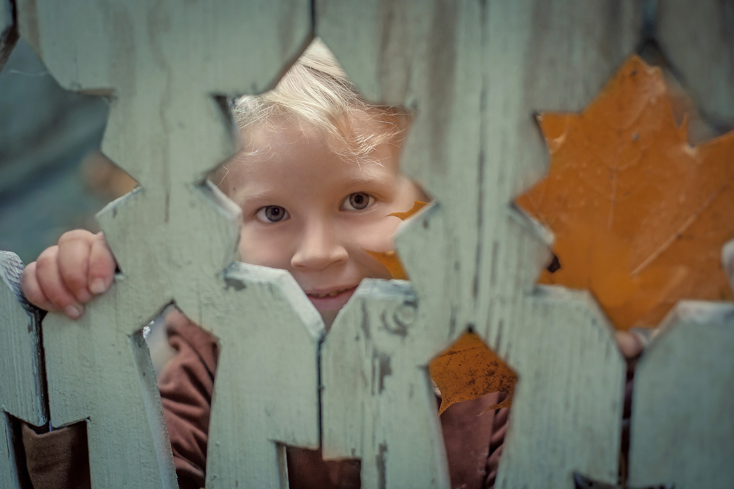 Братцево «Усадебные истории». Фотограф на крестины