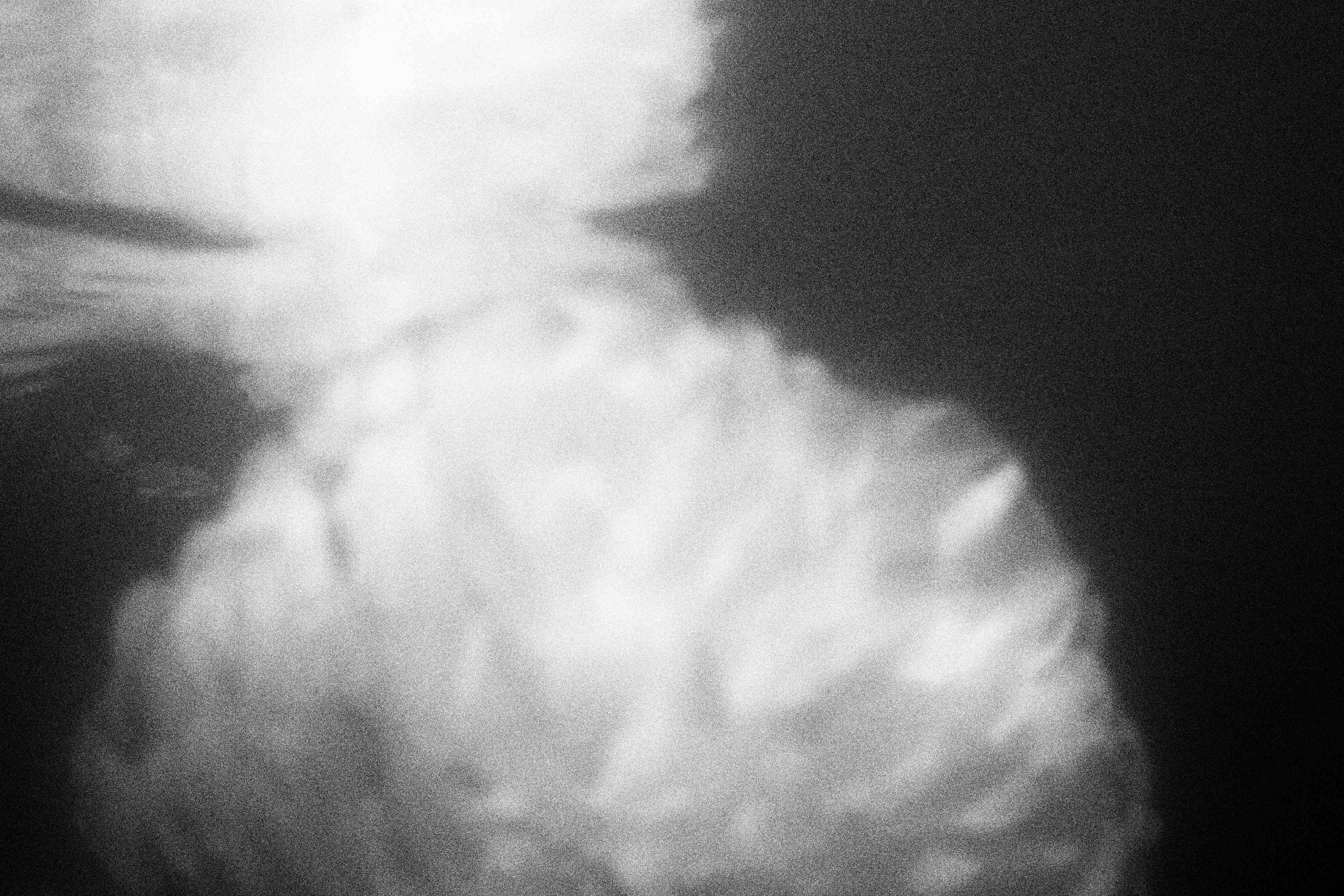 «Видеть. Чувствовать. Сохранять»