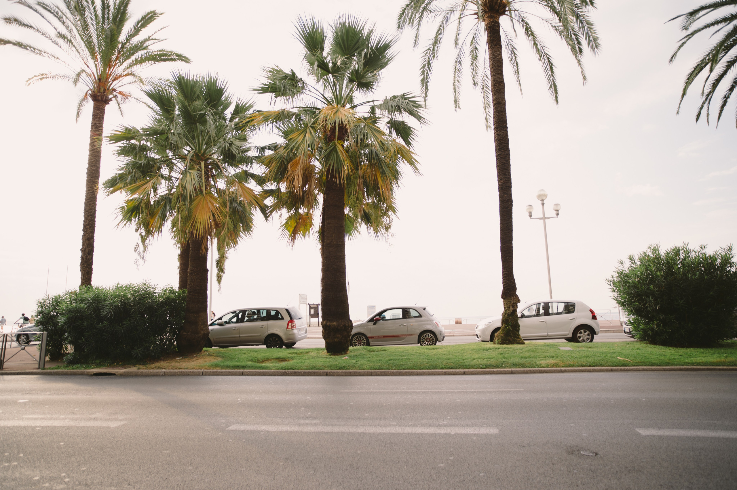 Provence. Свадебный фотограф в Ростове-на-Дону Владимир Пешков