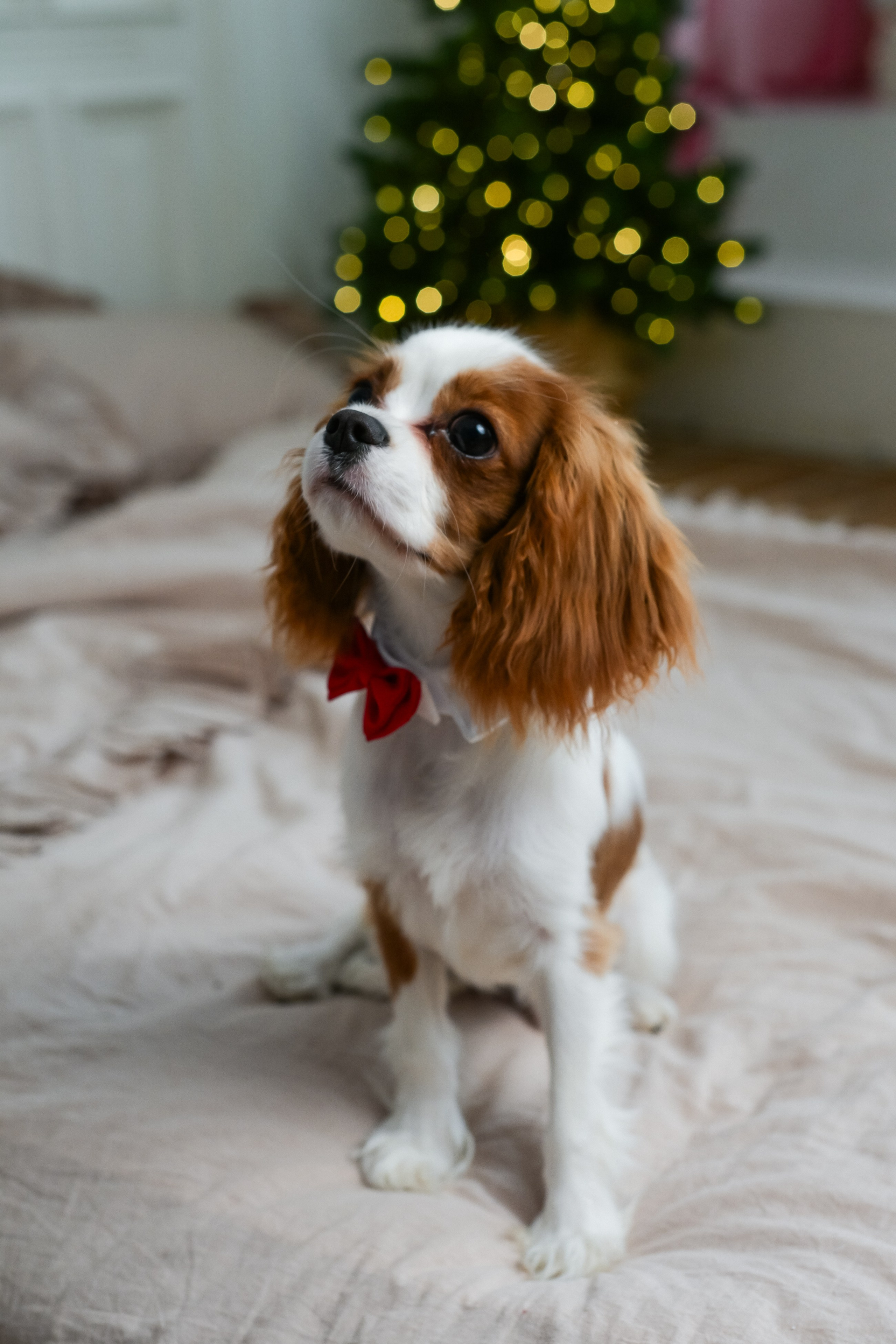 Семья Людмилы, Наиля и Мирры