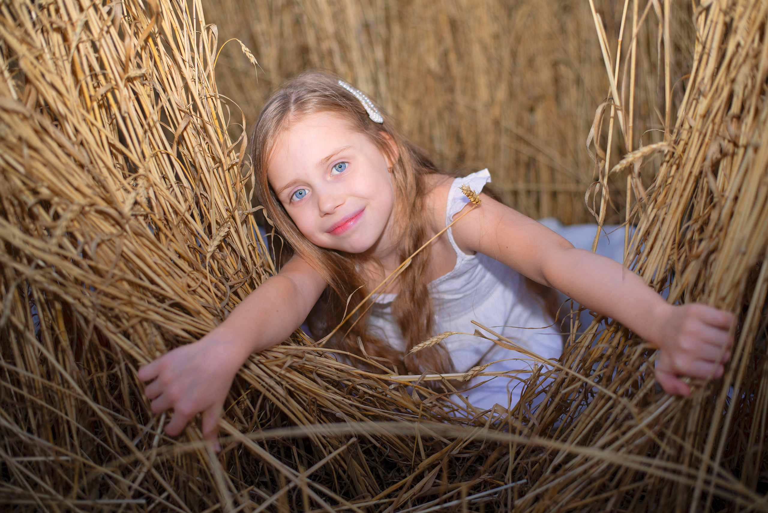 Пшеница. Главная