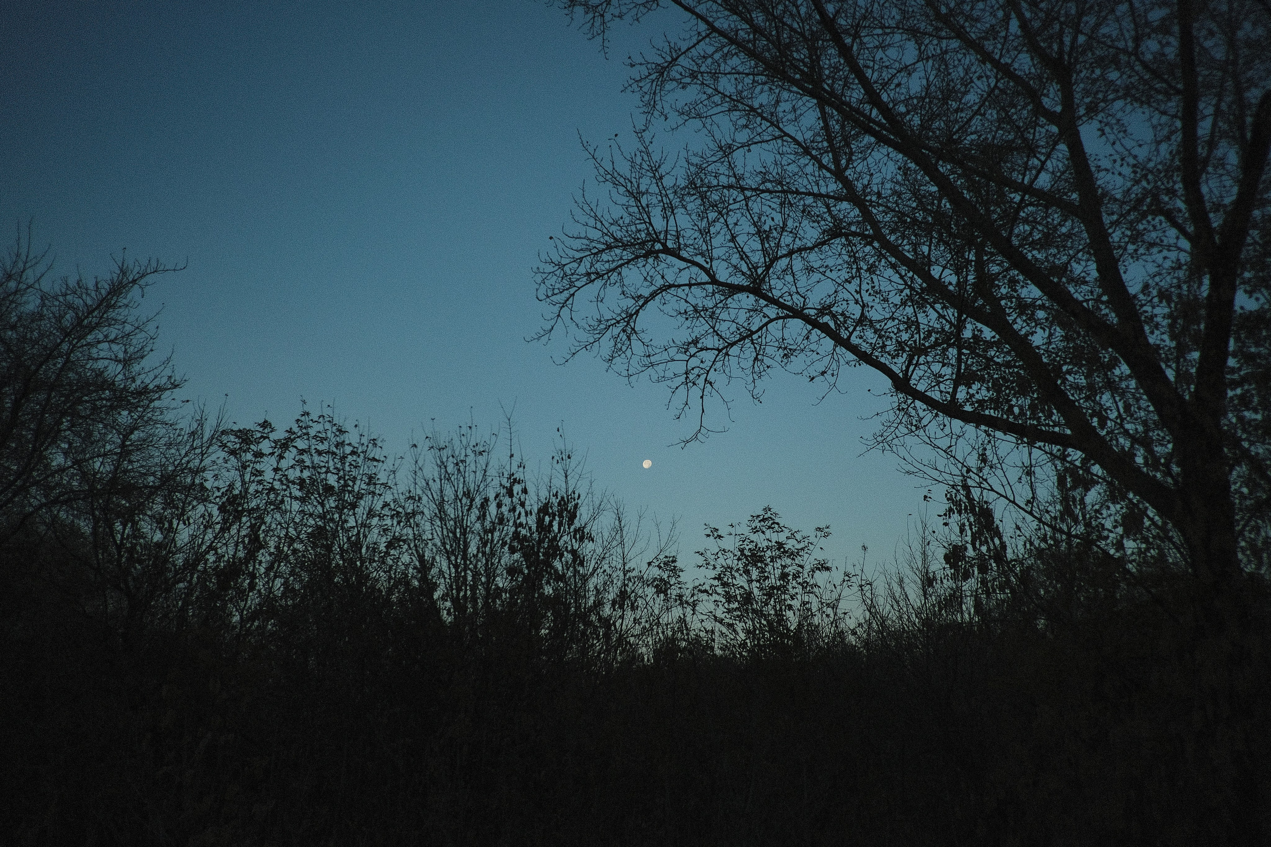 Наблюдения. Семейный фотограф в Новосибирске Артём Кузнецов