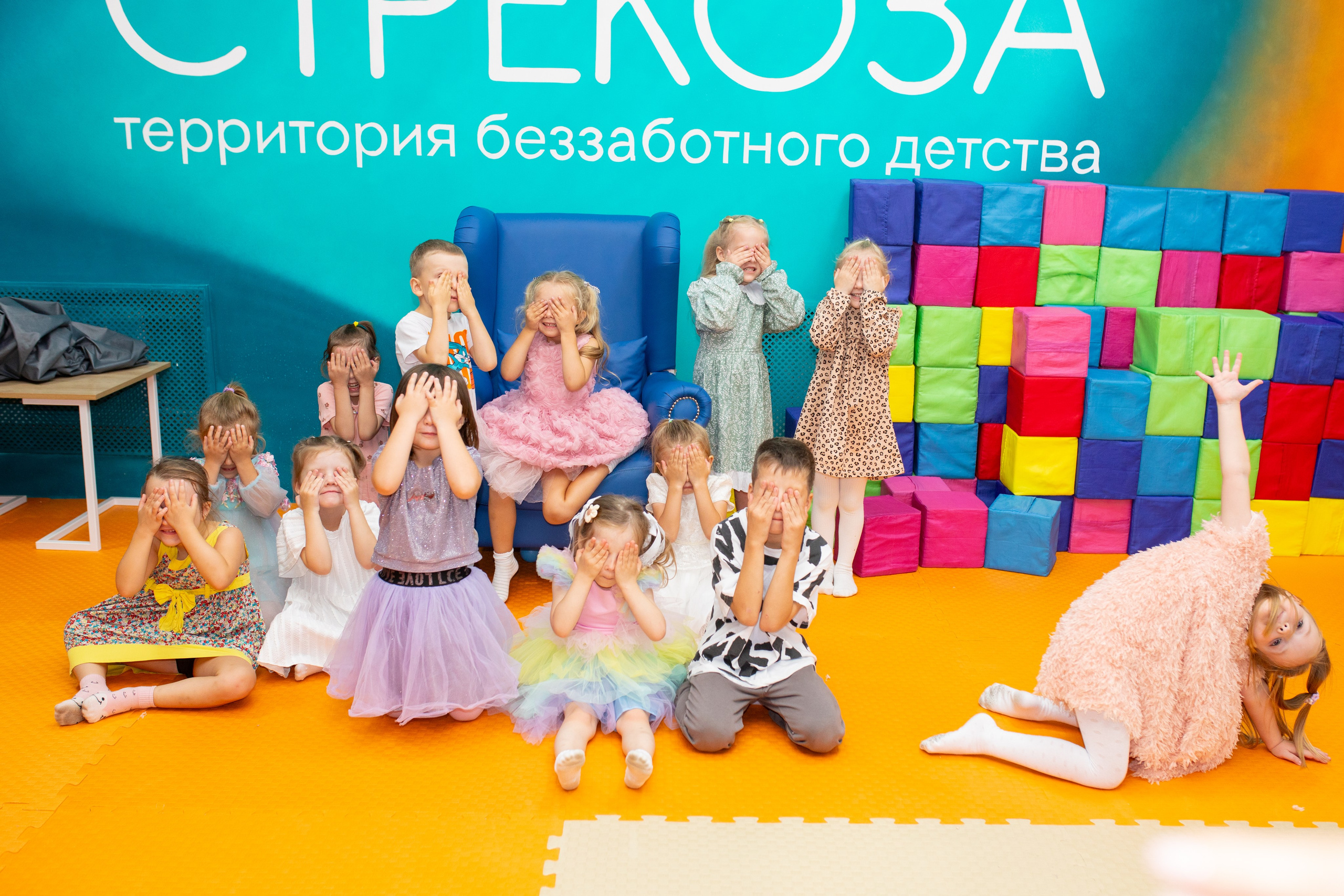 Стрекоза. Фотограф в Новосибирске Ася Зверева