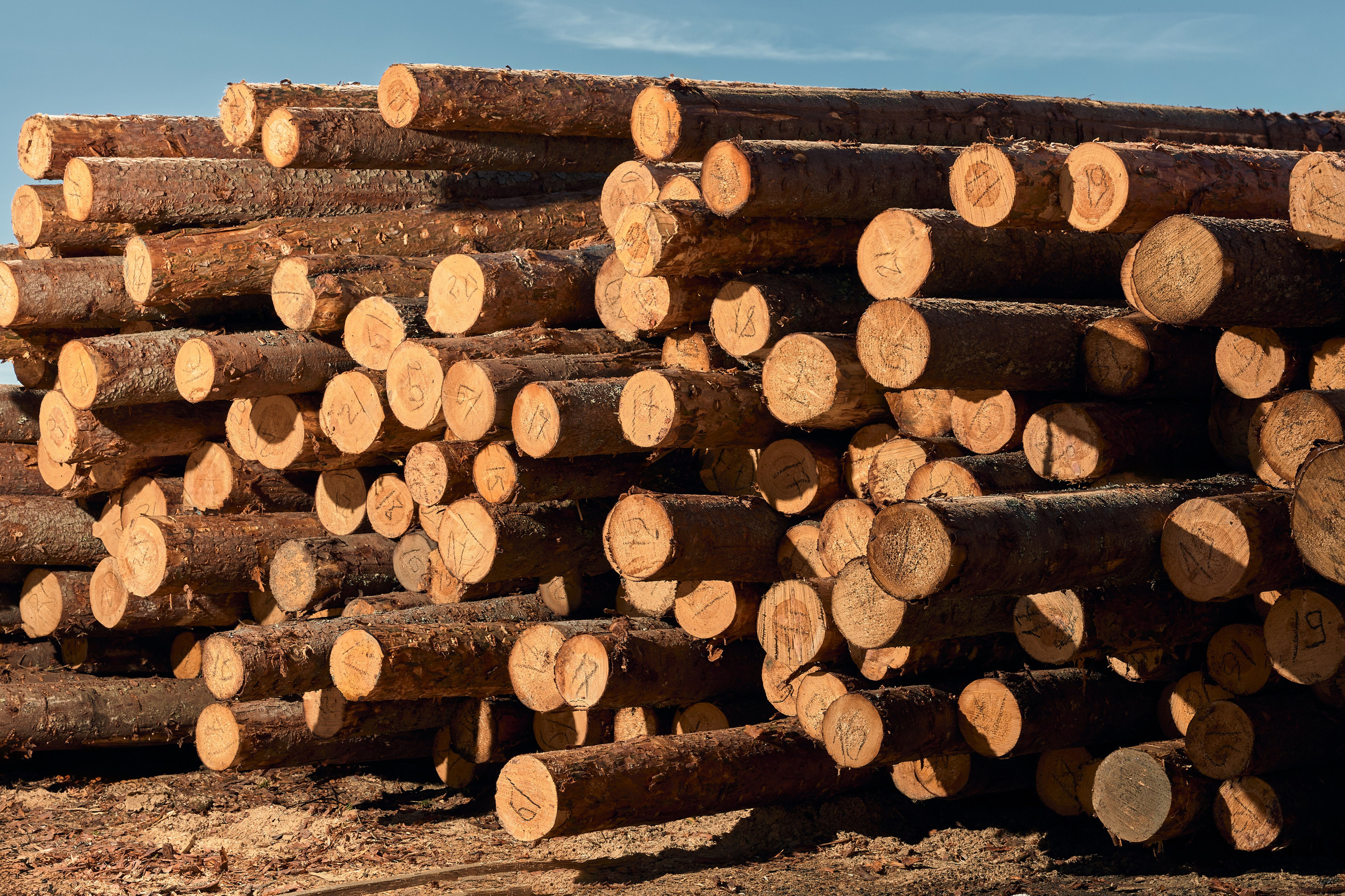 Промышленная фотосъемка в Москве и московской области. Профессиональный фотограф в Москве — Максим Дьяконов