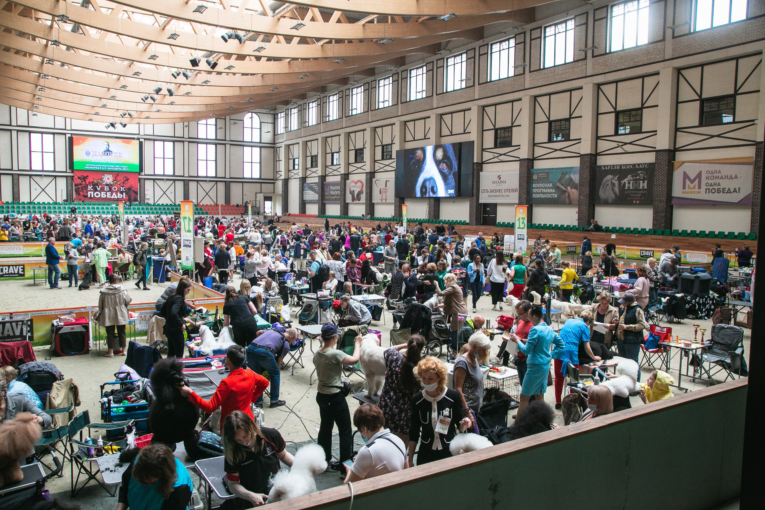 Выставки. Профессиональный фотограф Евгений Земцов в Москве. Контент съемка, репортаж мероприятий, бизнес портреты